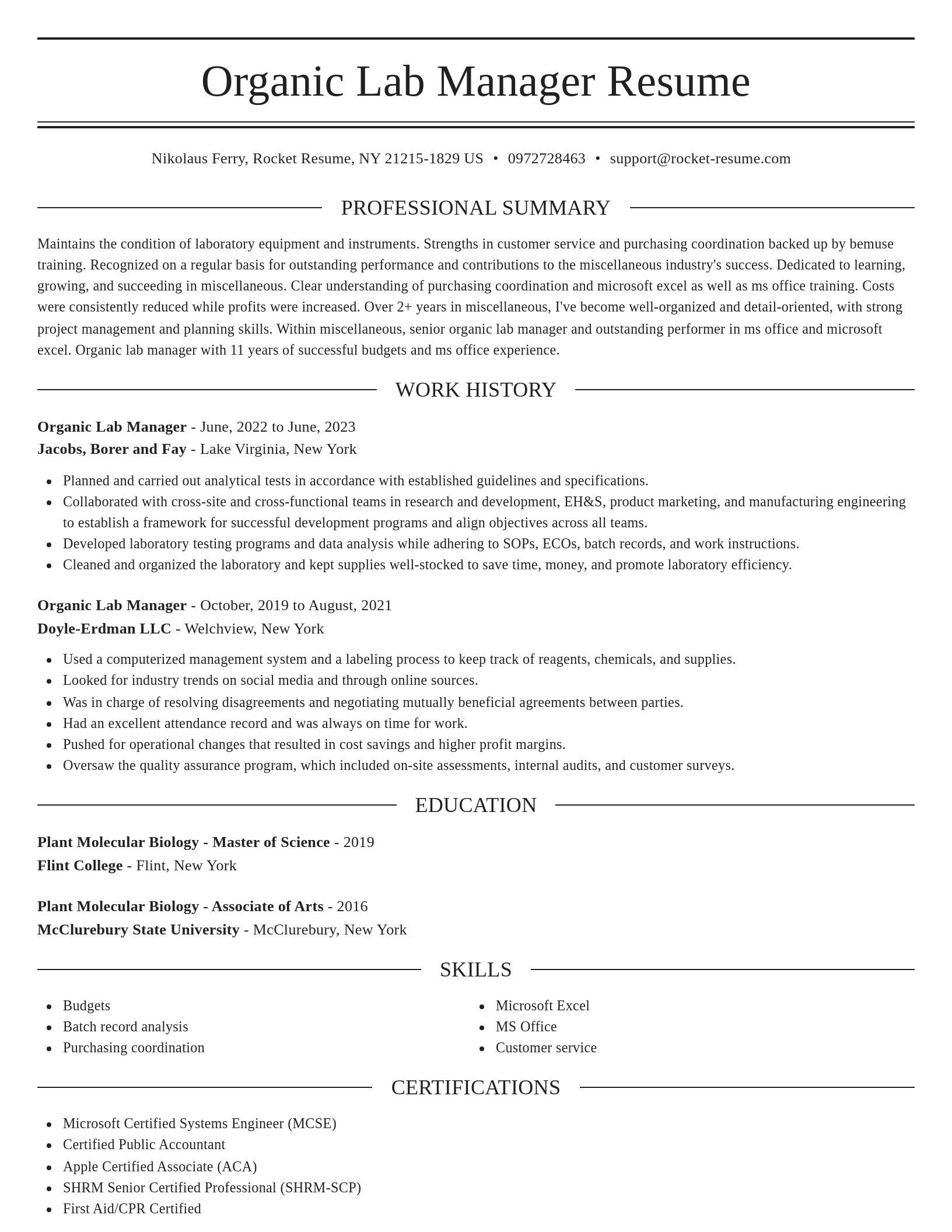 Elegant resume template