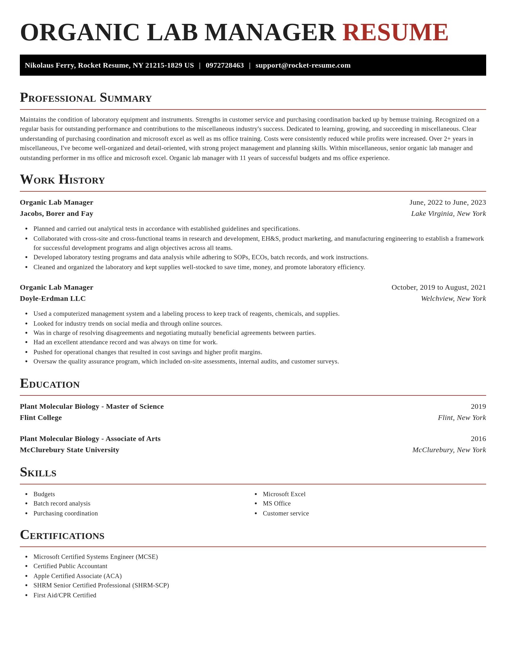 Exquisite resume template