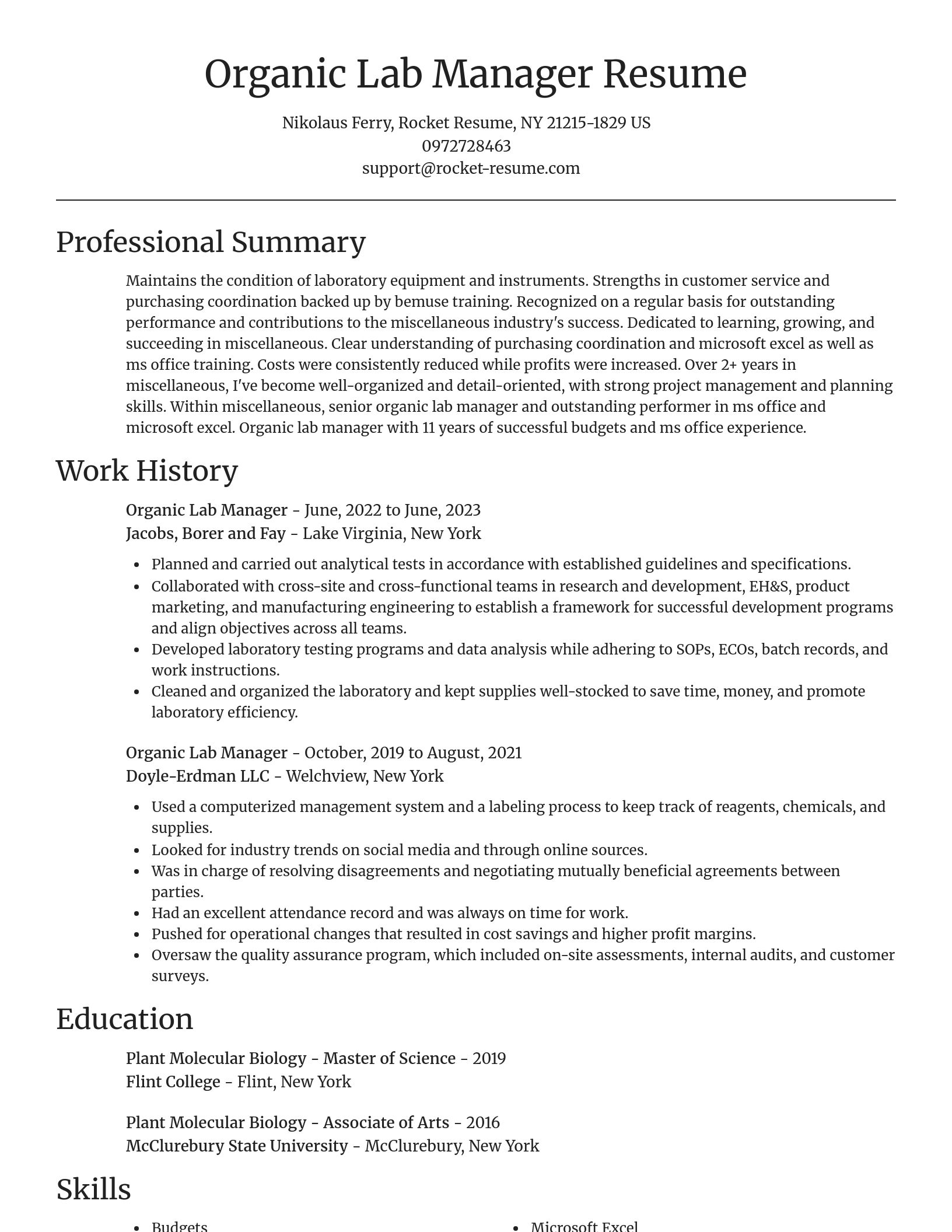 Focal Point resume template