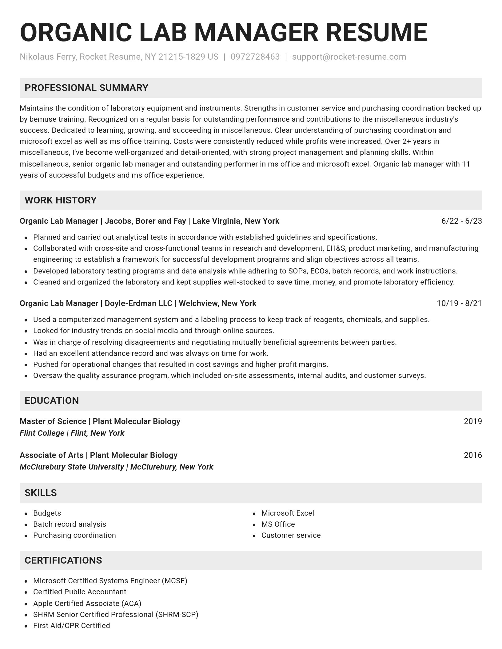 Genius resume template