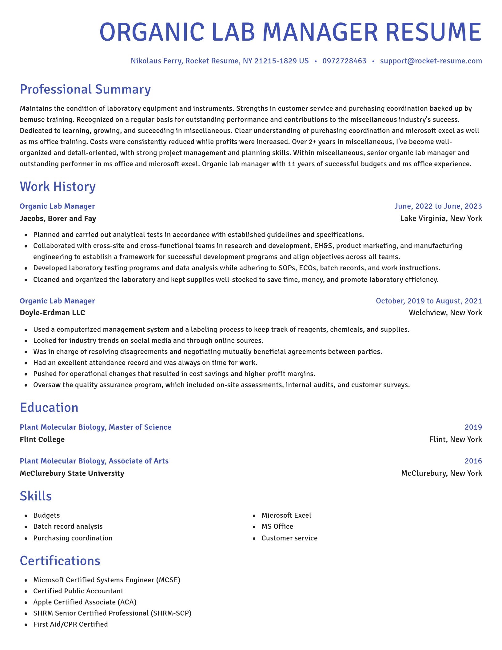 Novel resume template