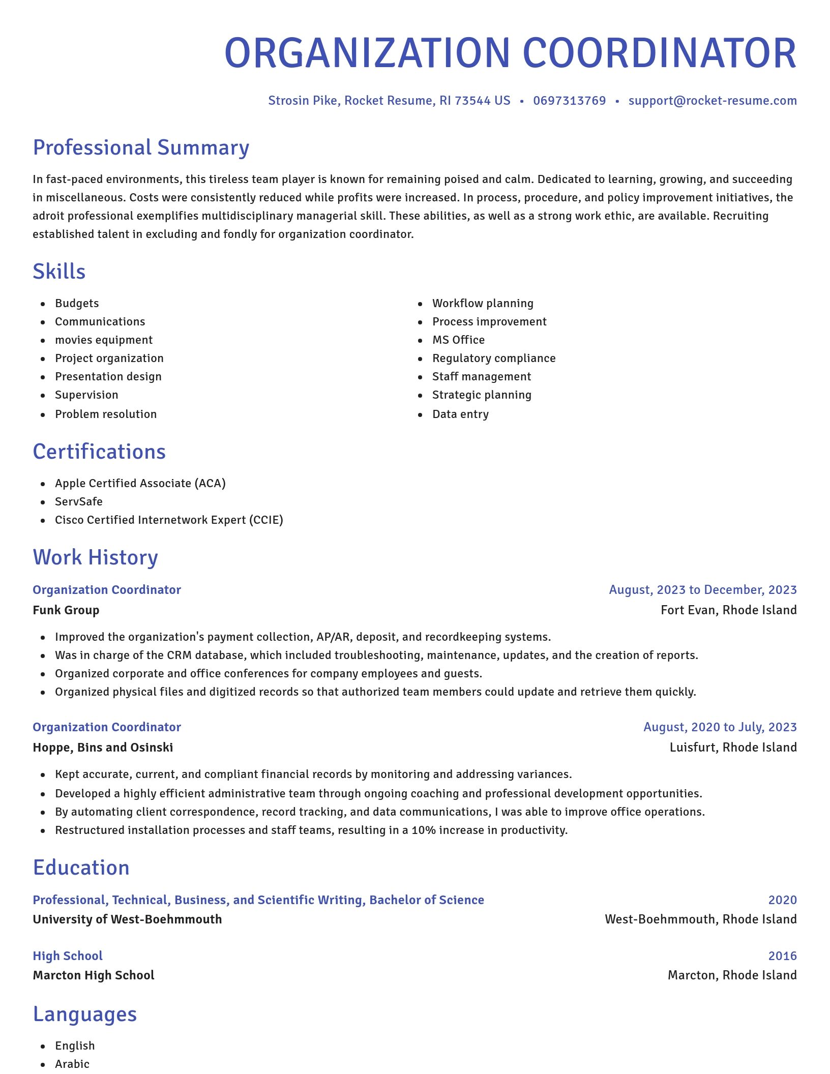 Novel resume template