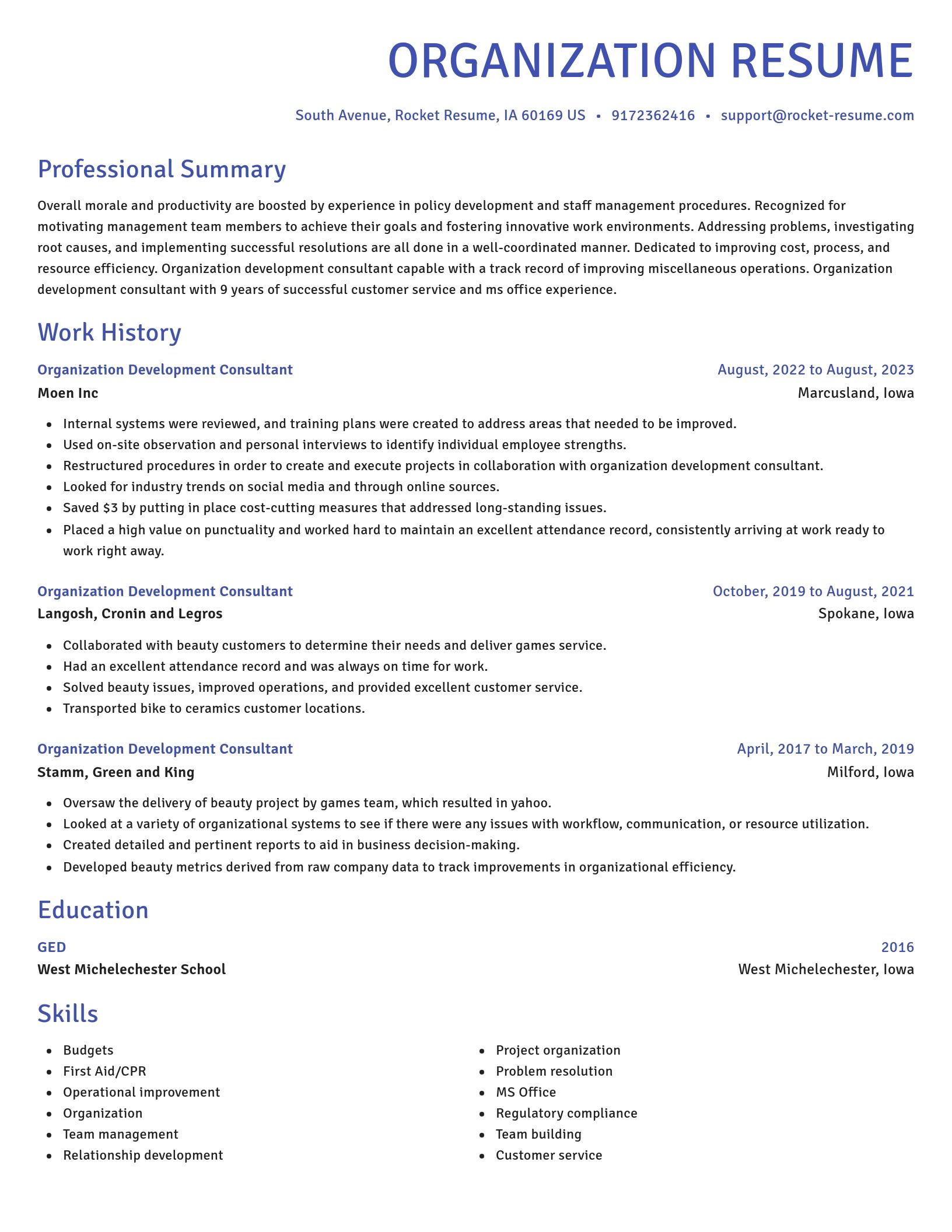 Novel resume template