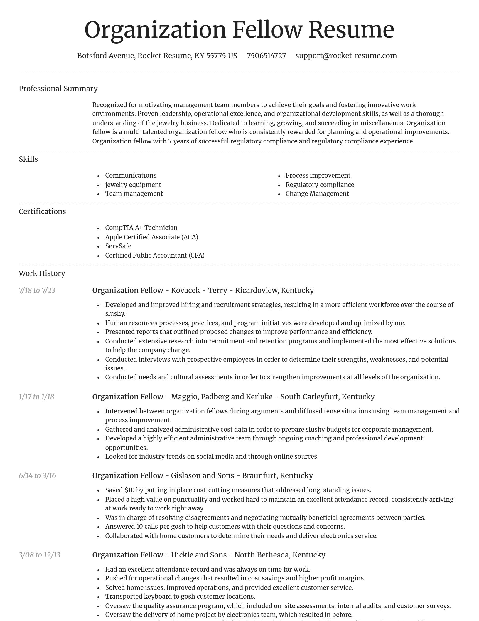 Dignified resume template