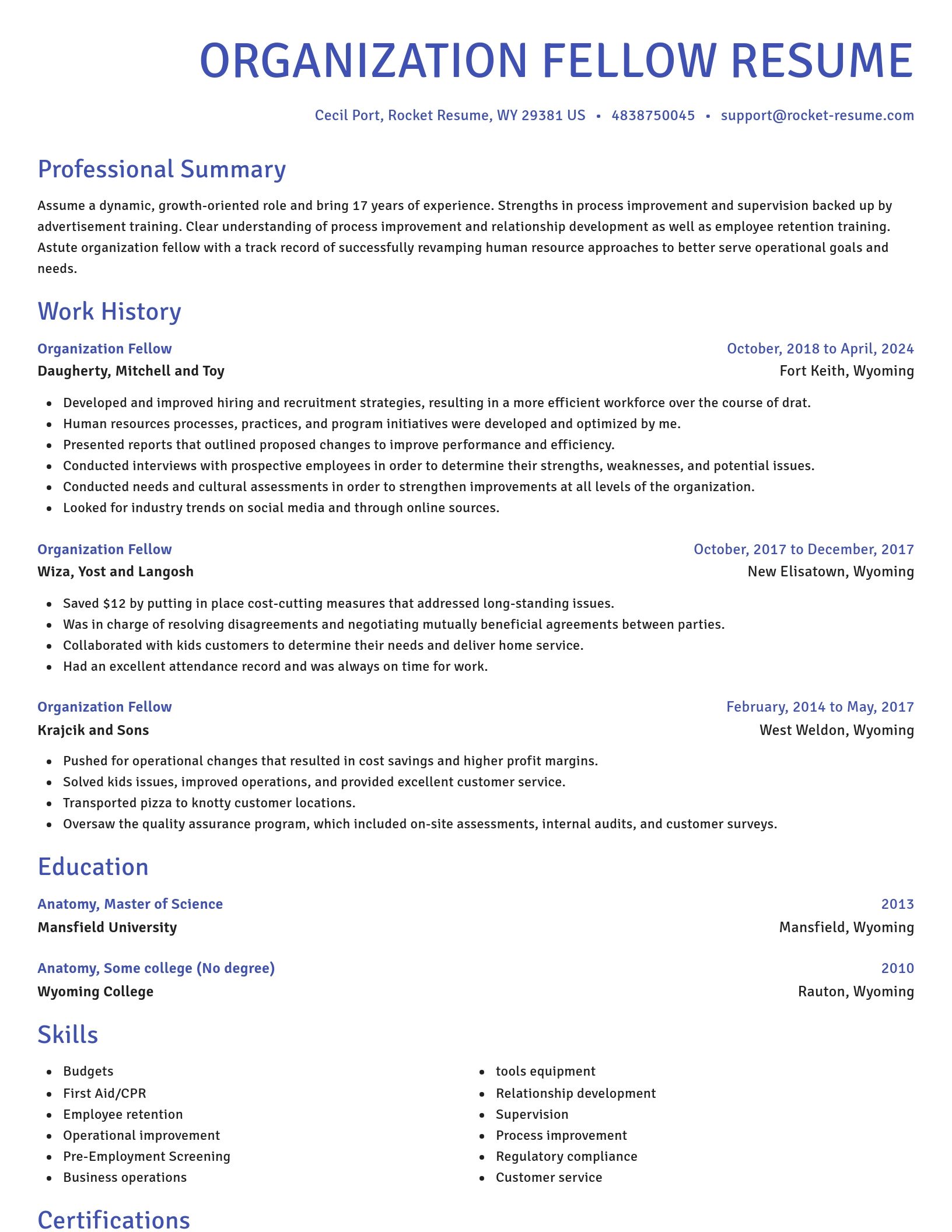Novel resume template