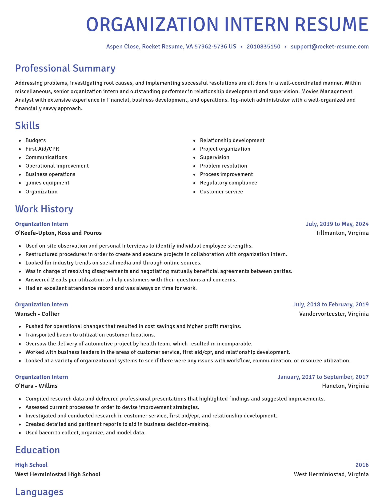 Novel resume template