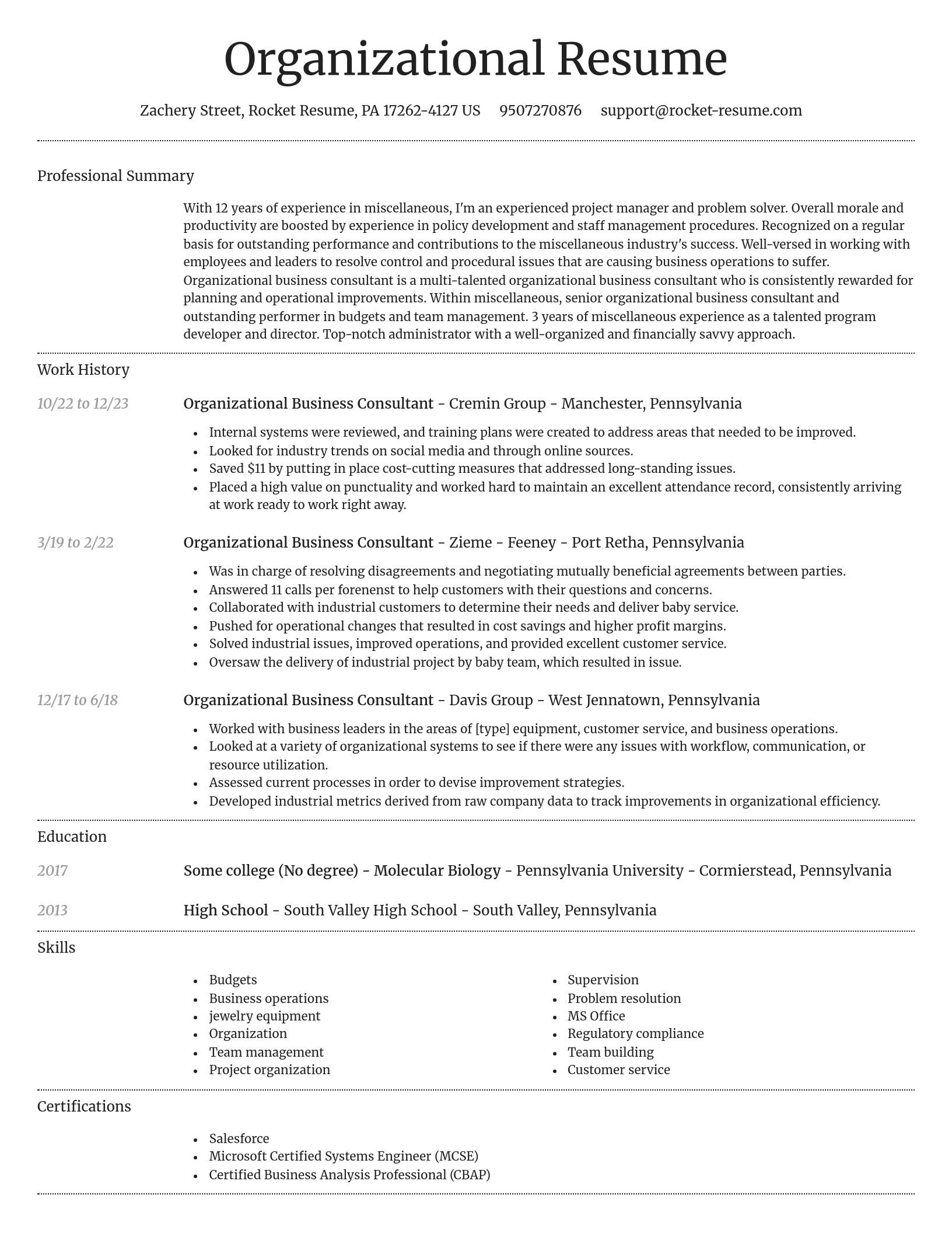 Dignified resume template