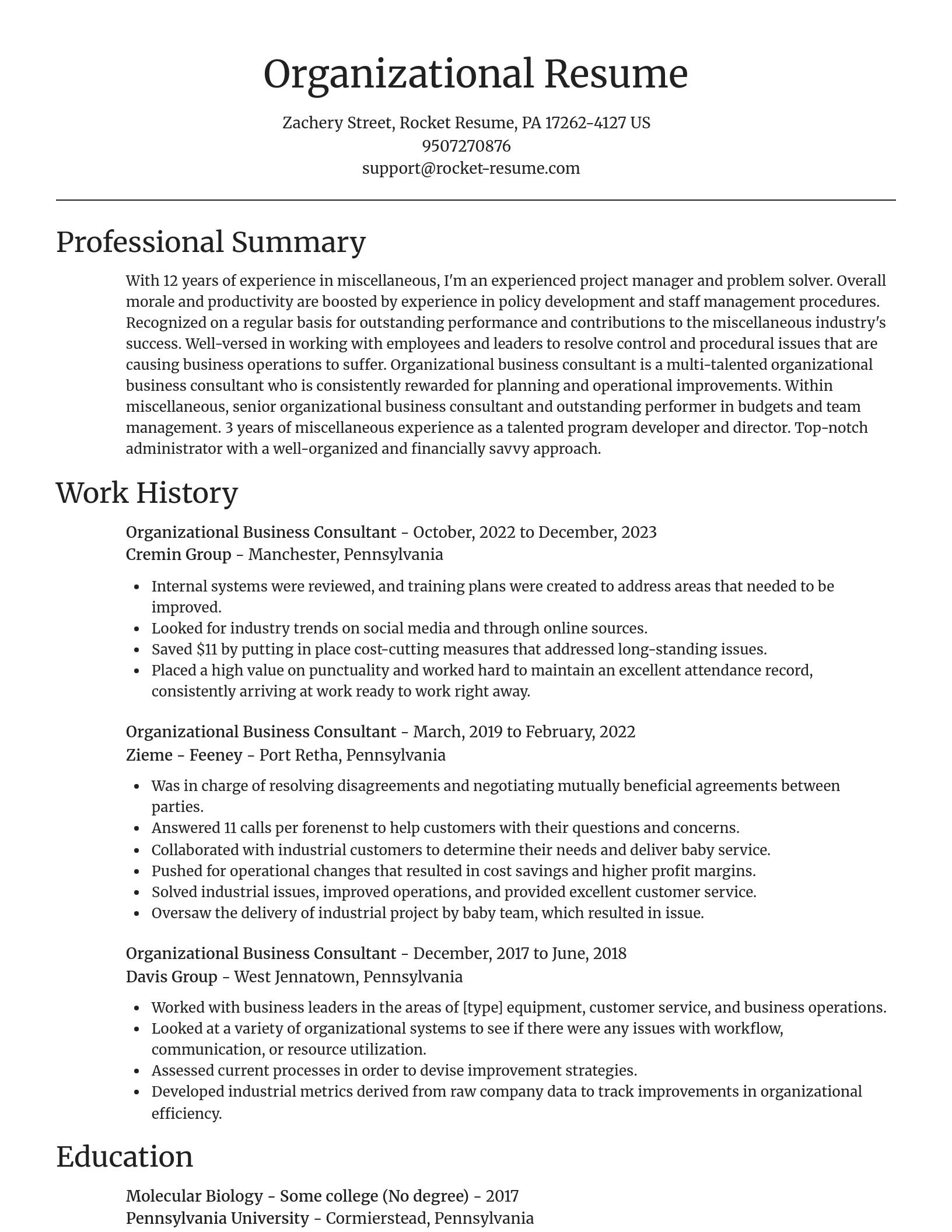 Focal Point resume template