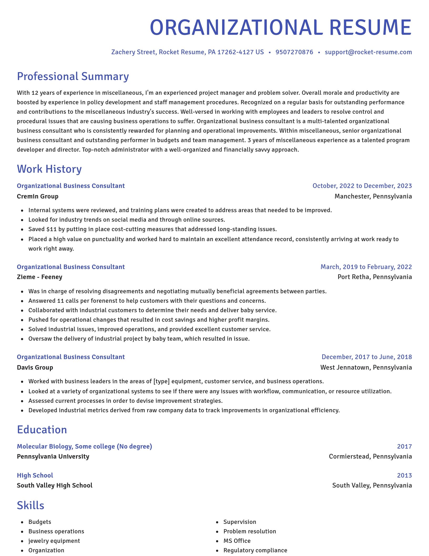 Novel resume template