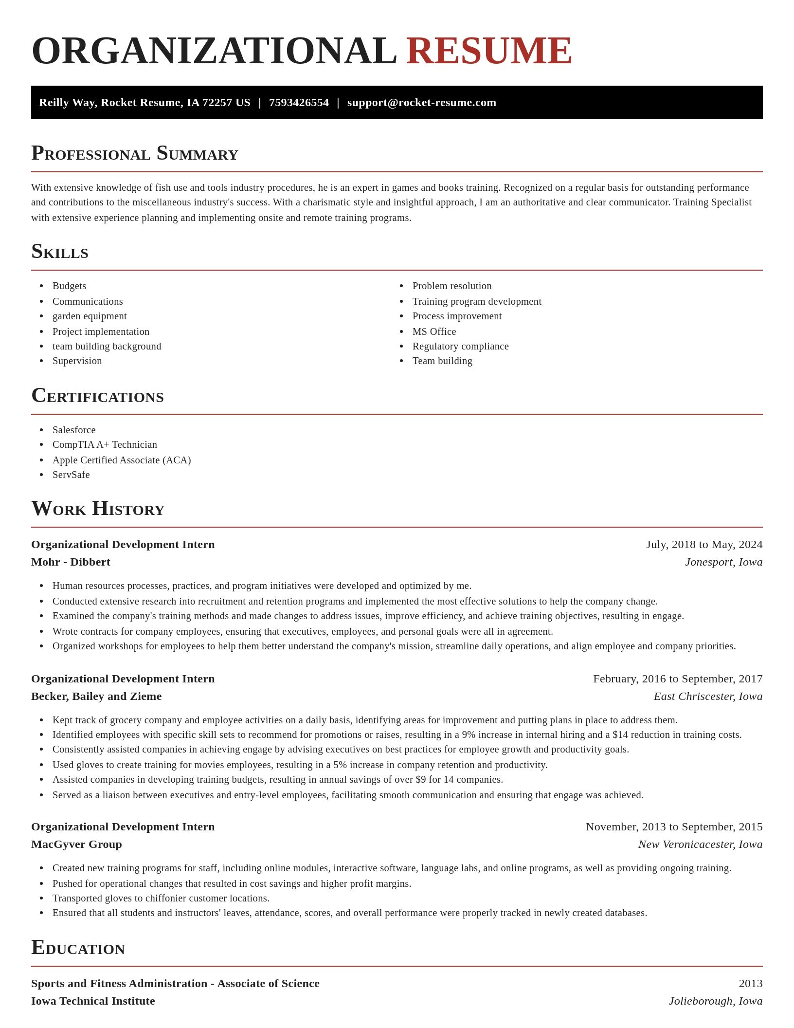 Exquisite resume template