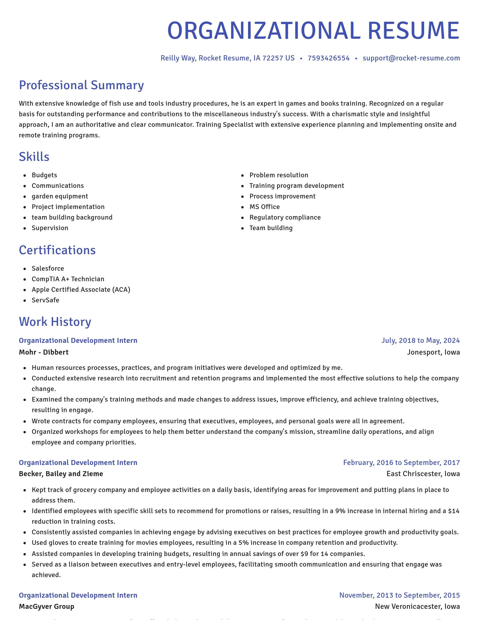 Novel resume template