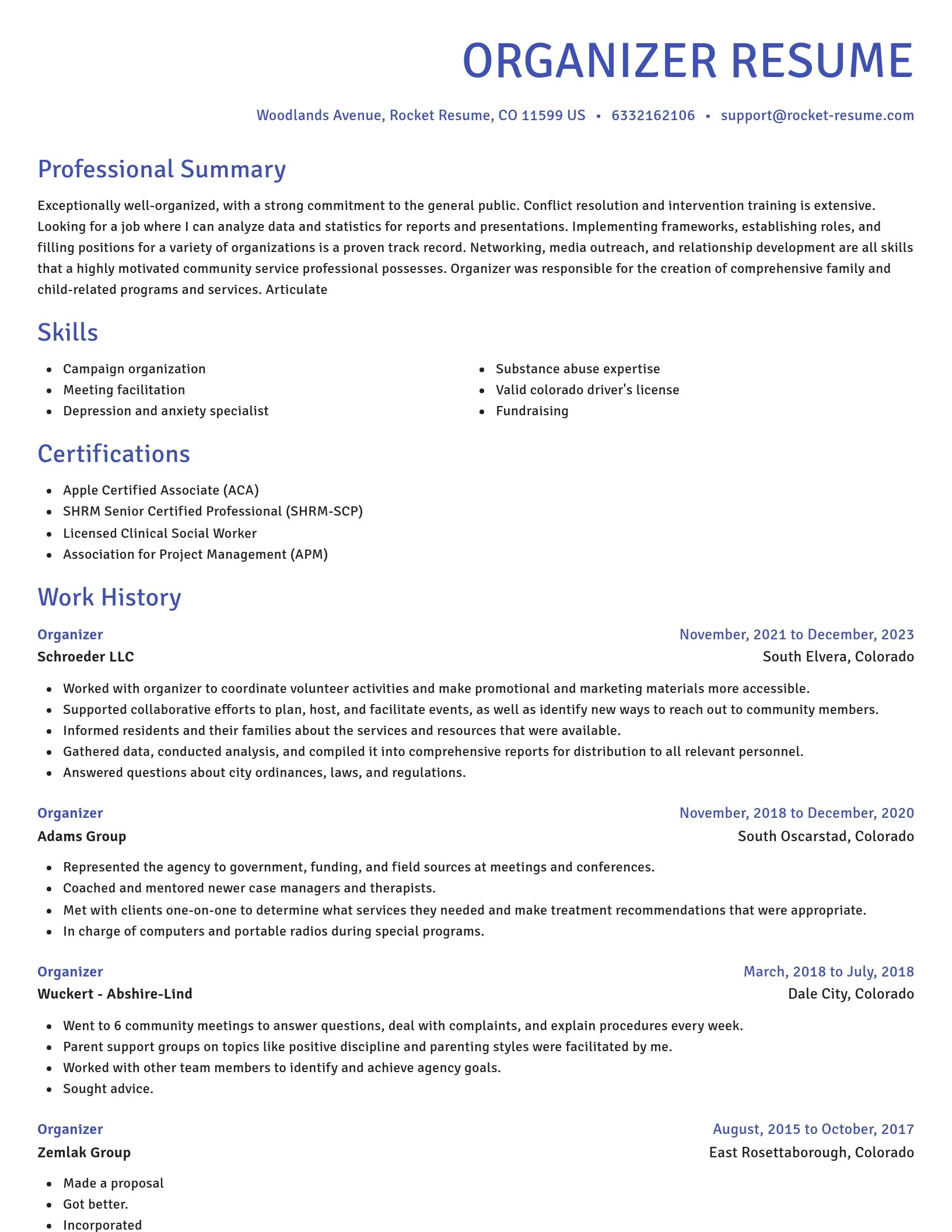 Novel resume template