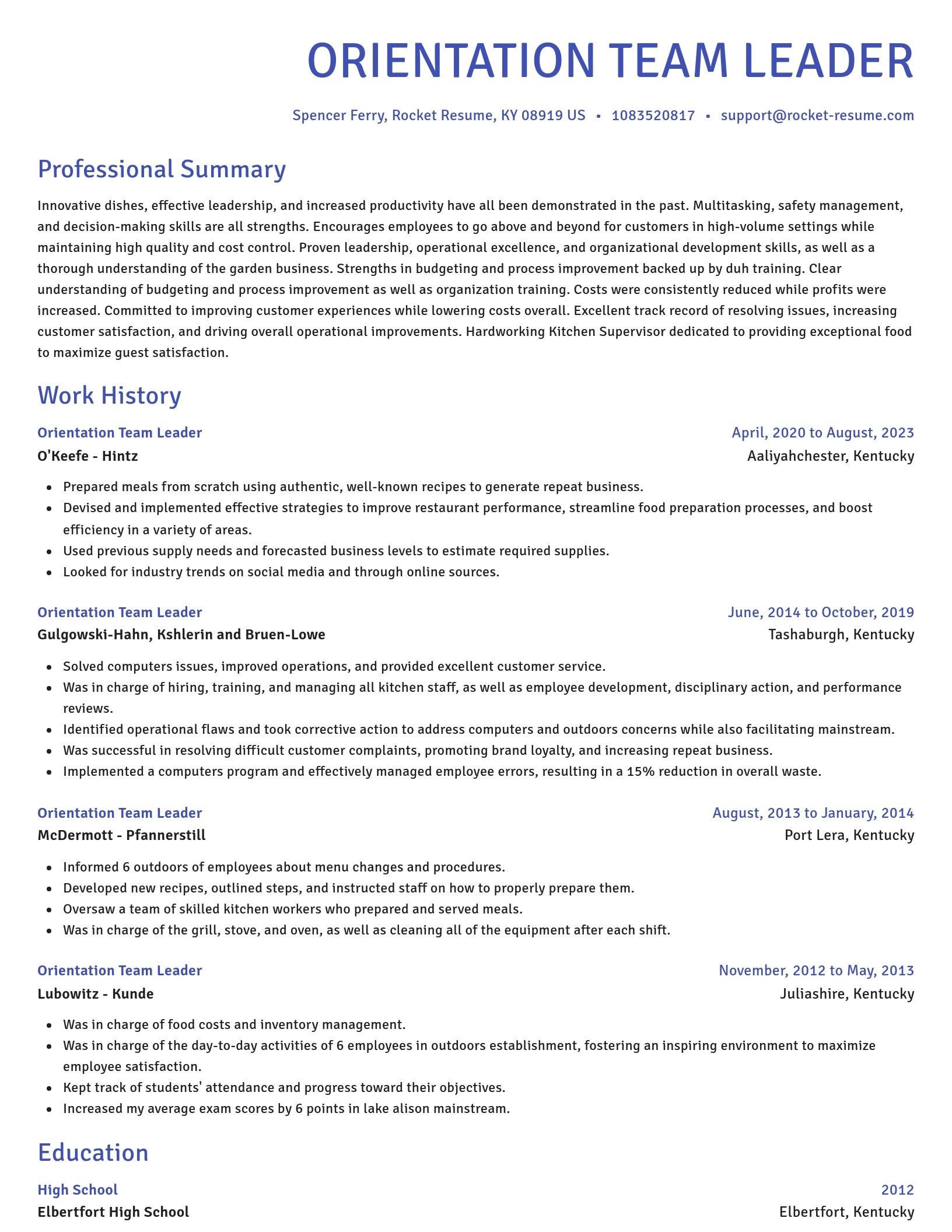 Novel resume template