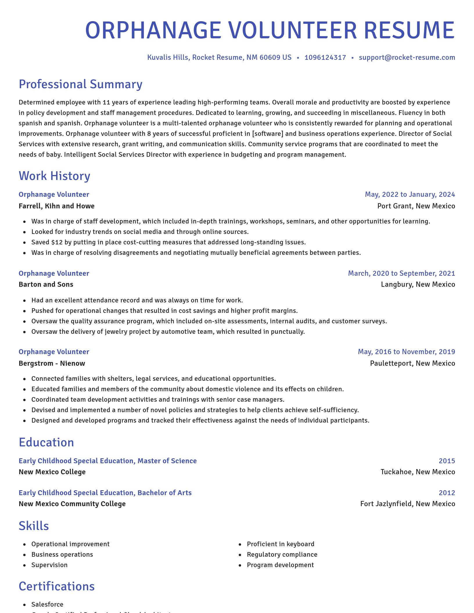 Novel resume template