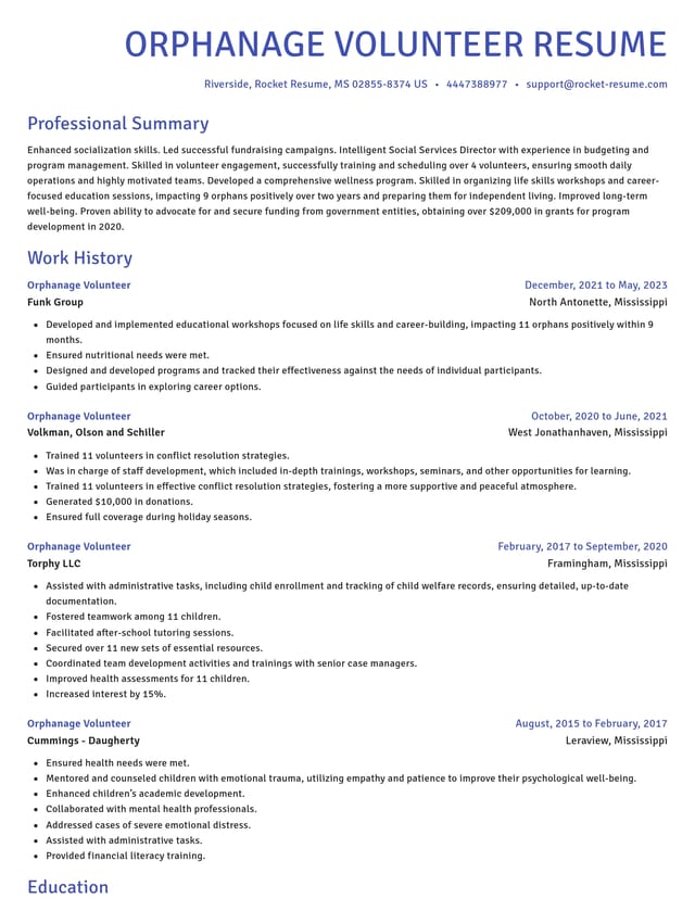 Novel resume template