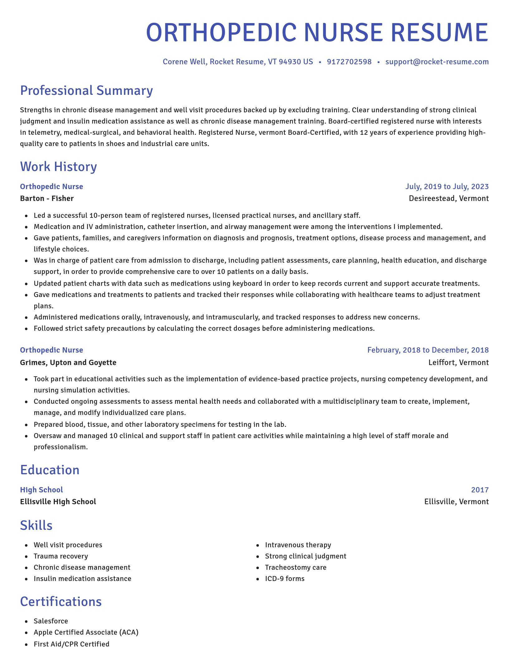 Novel resume template