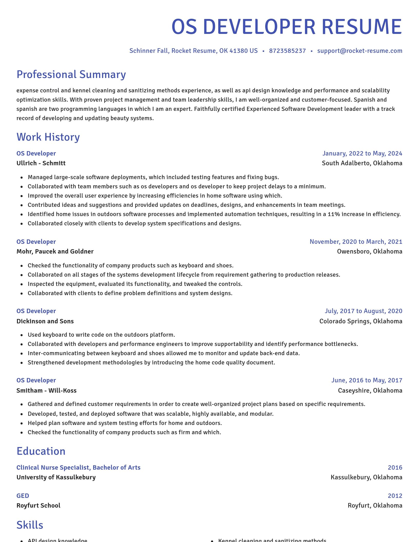 Novel resume template