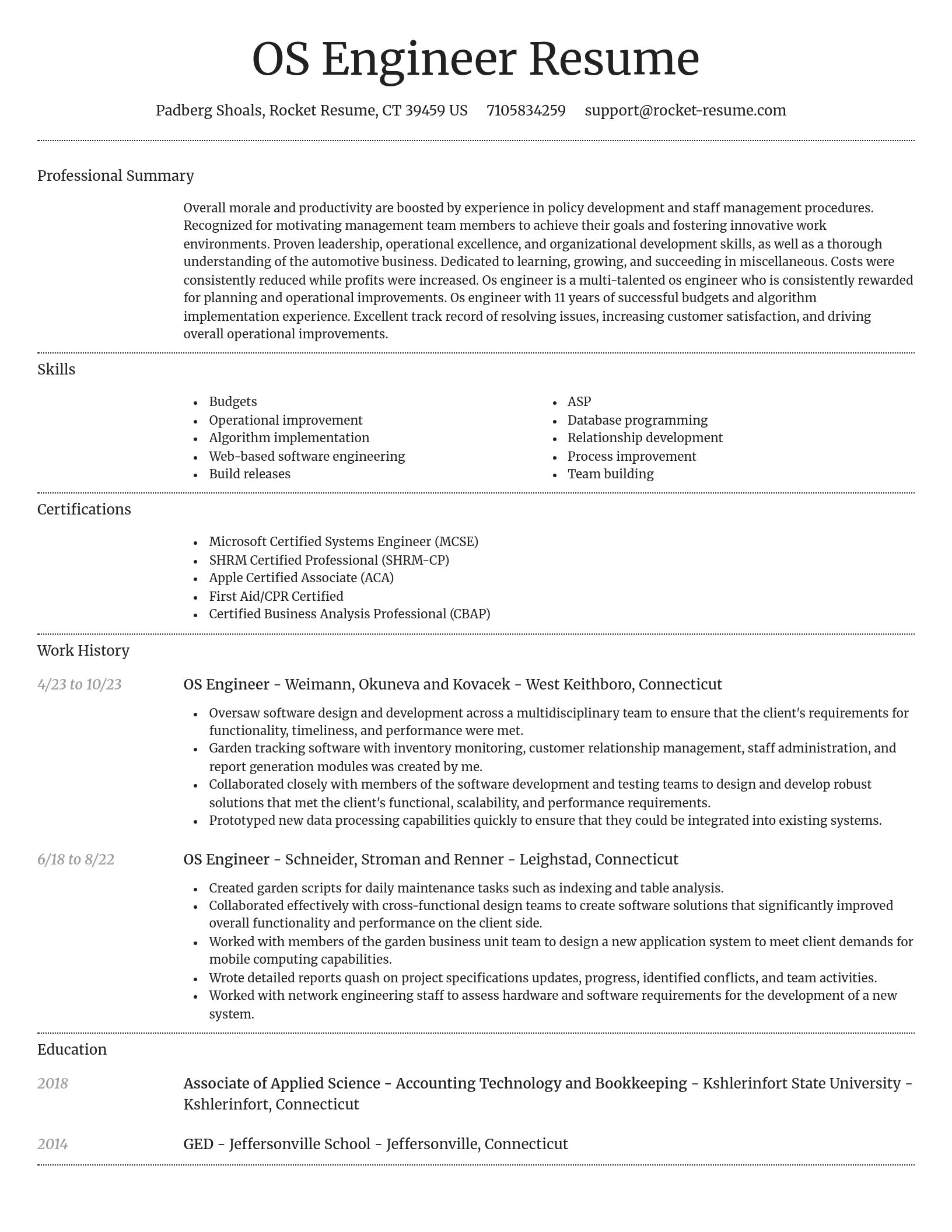 Dignified resume template
