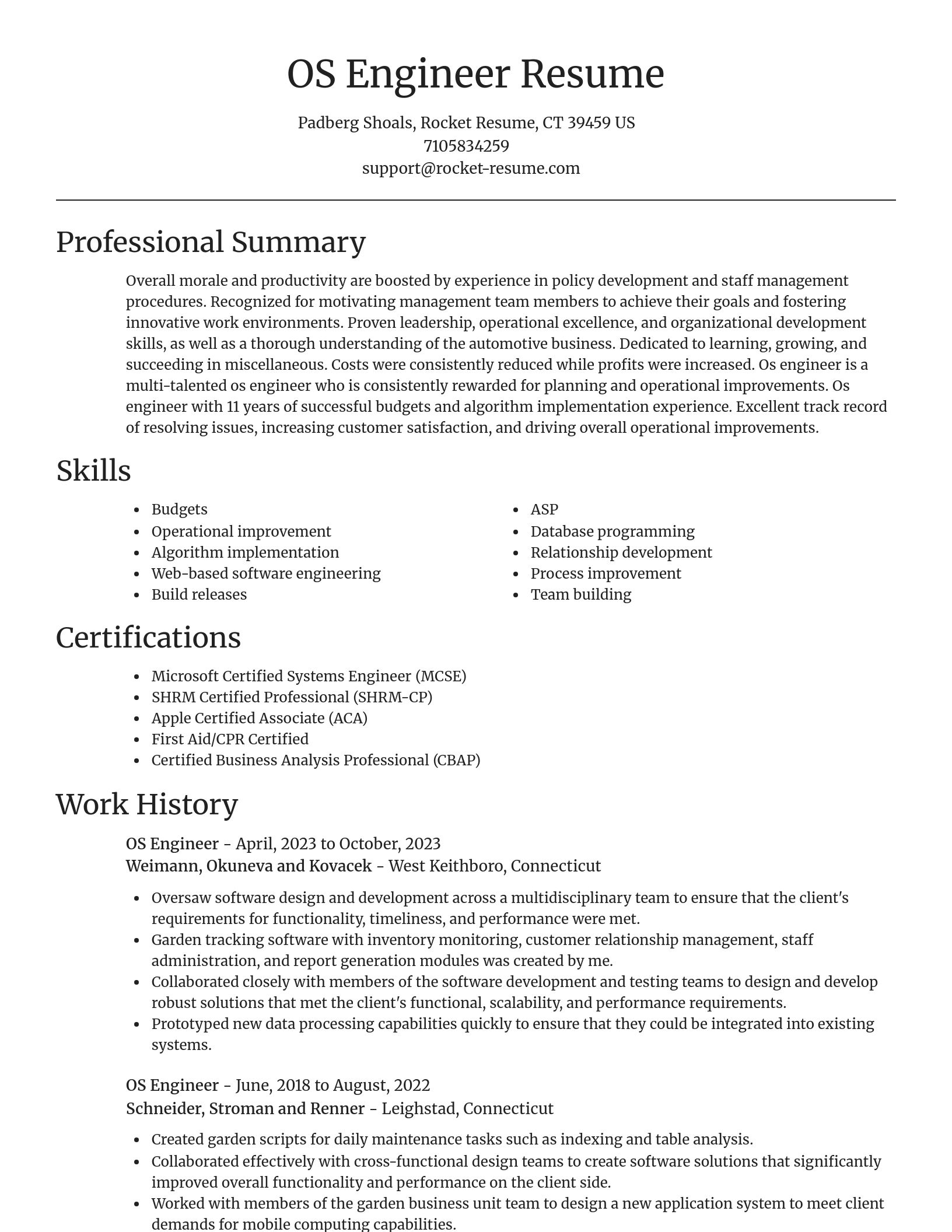 Focal Point resume template