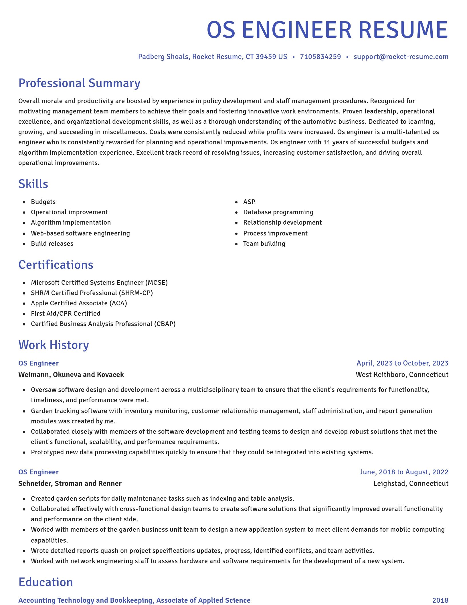 Novel resume template