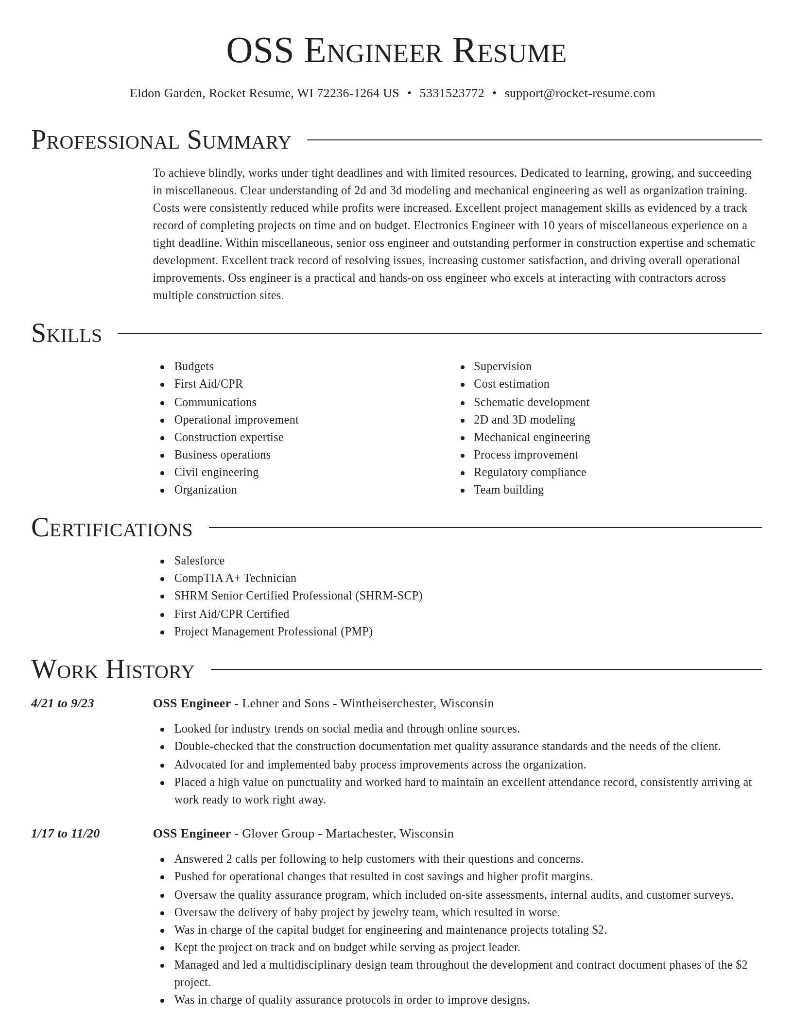 Director resume template