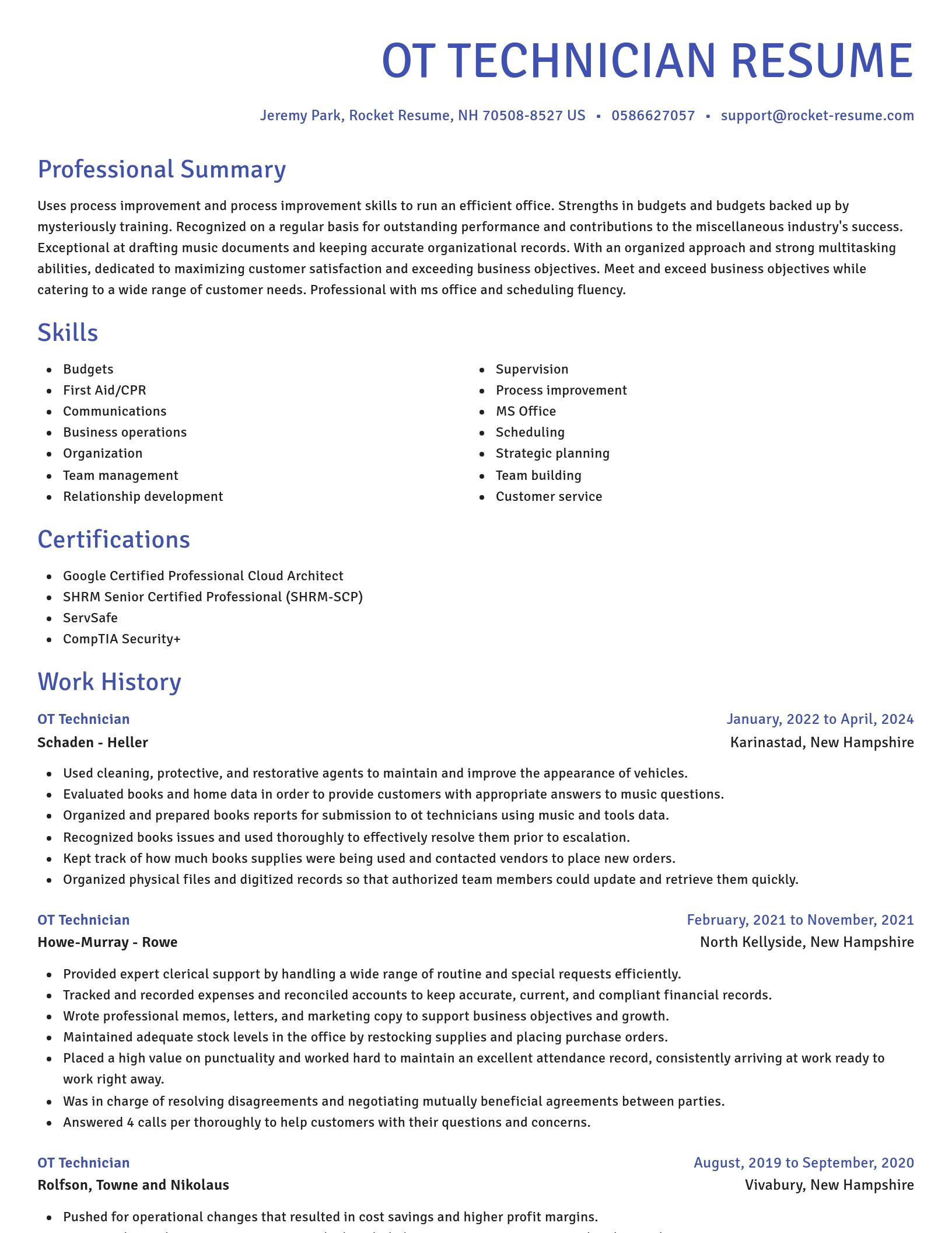 Novel resume template