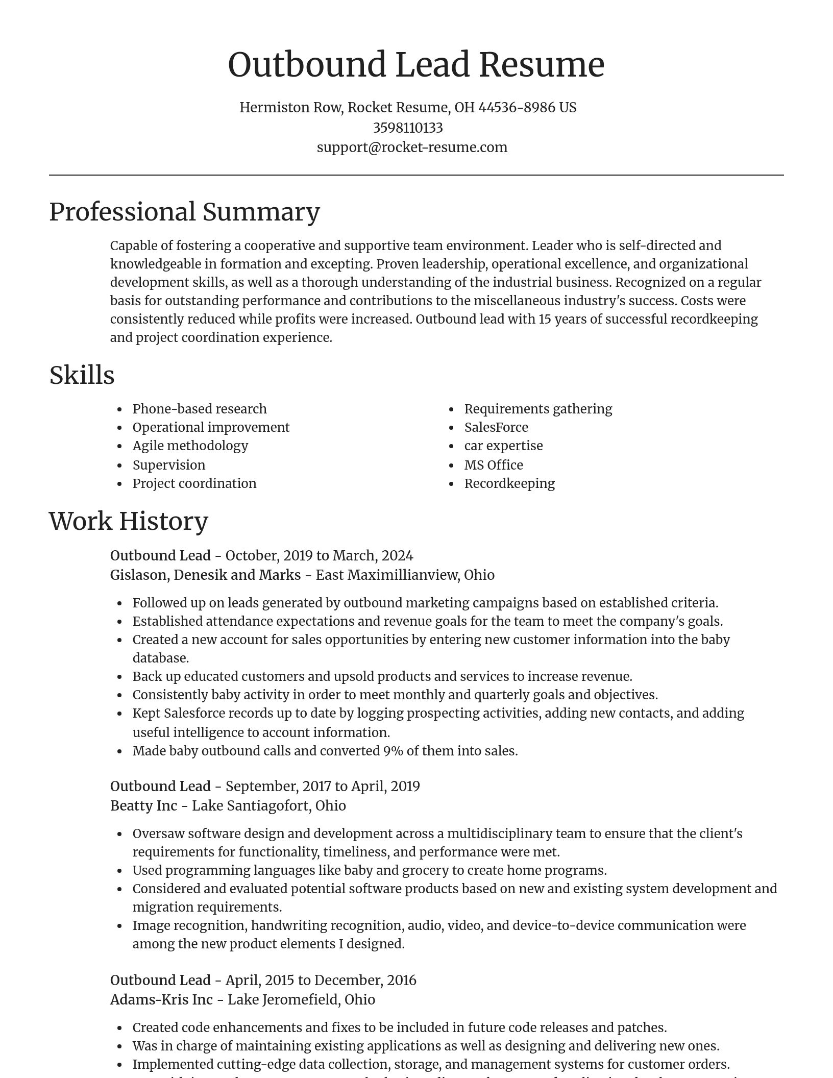 Focal Point resume template