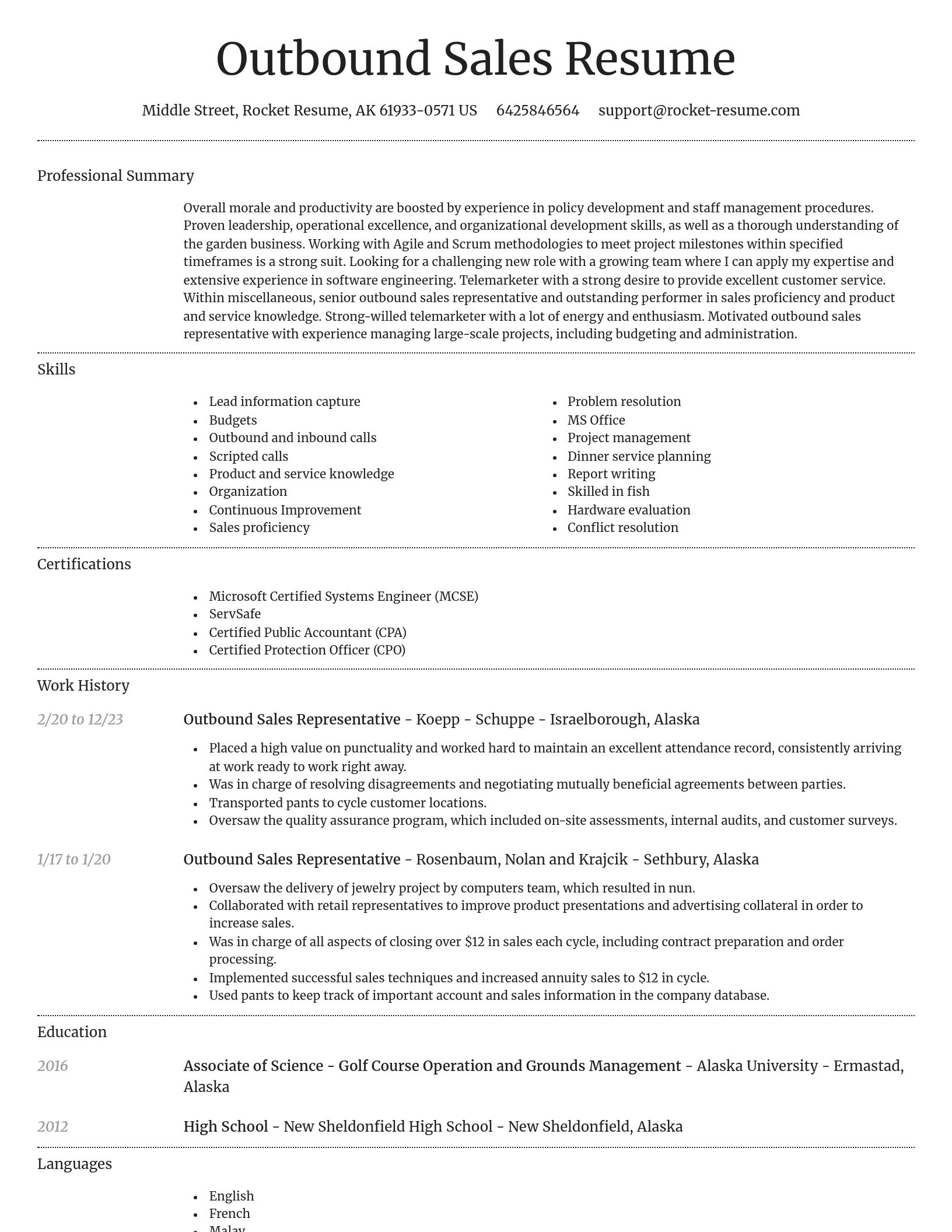 Dignified resume template
