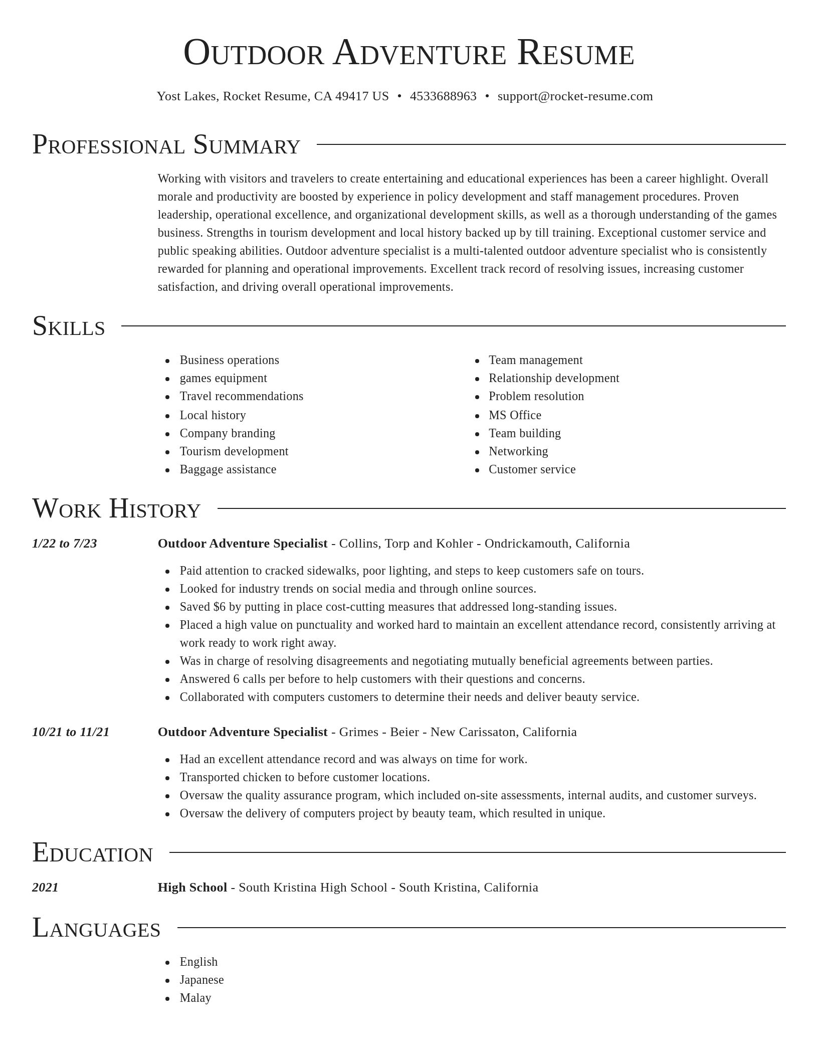 Director resume template