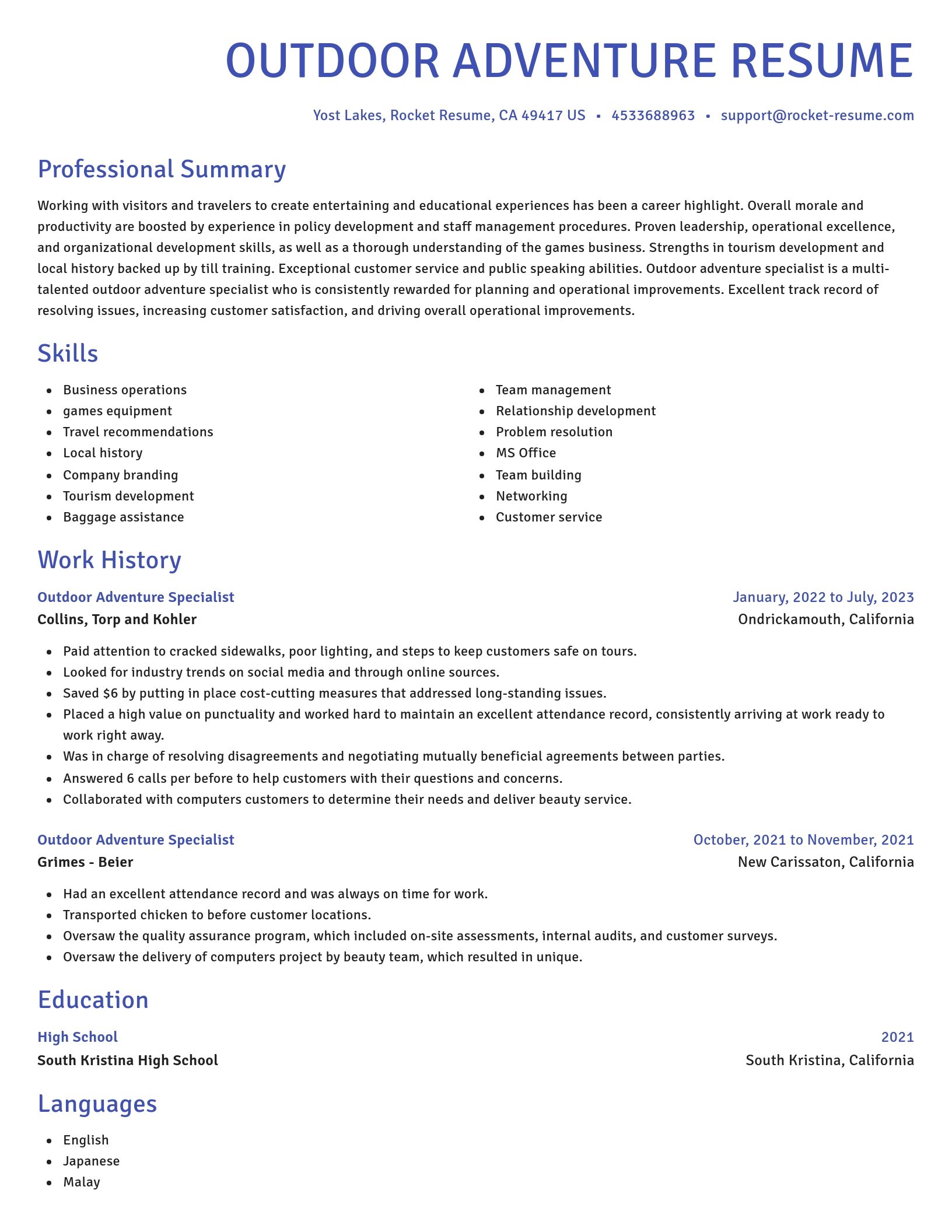 Novel resume template