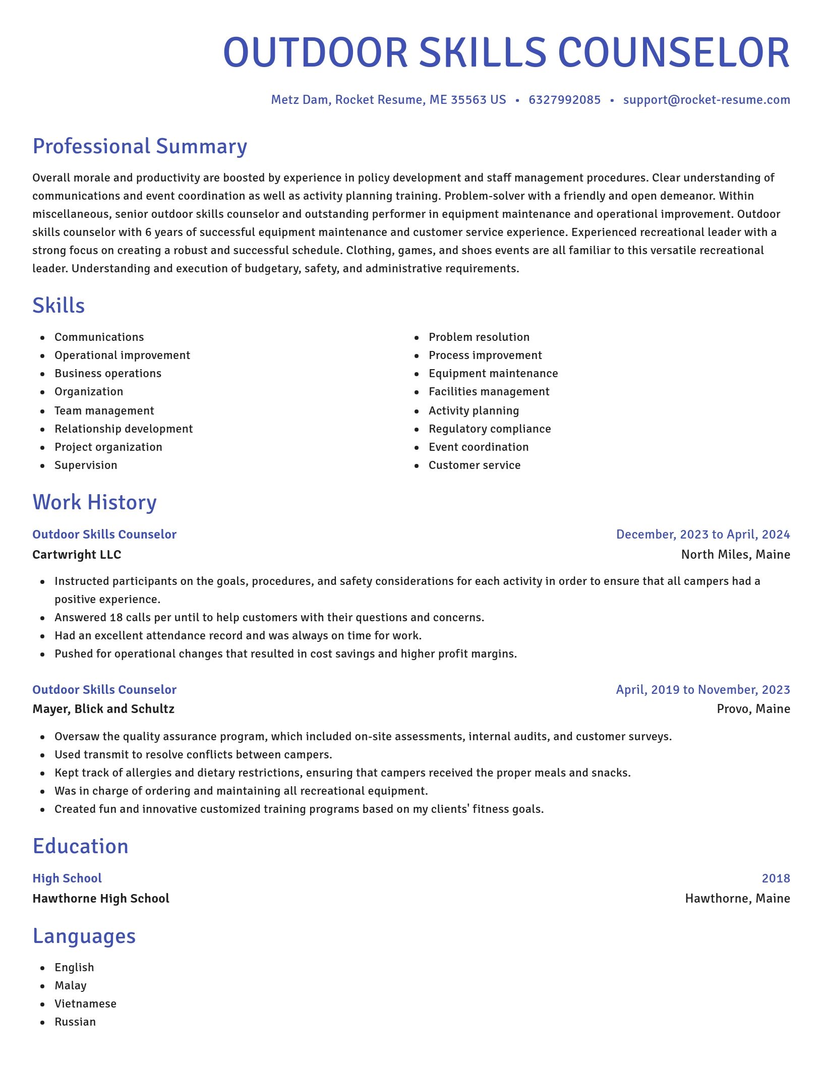 Novel resume template