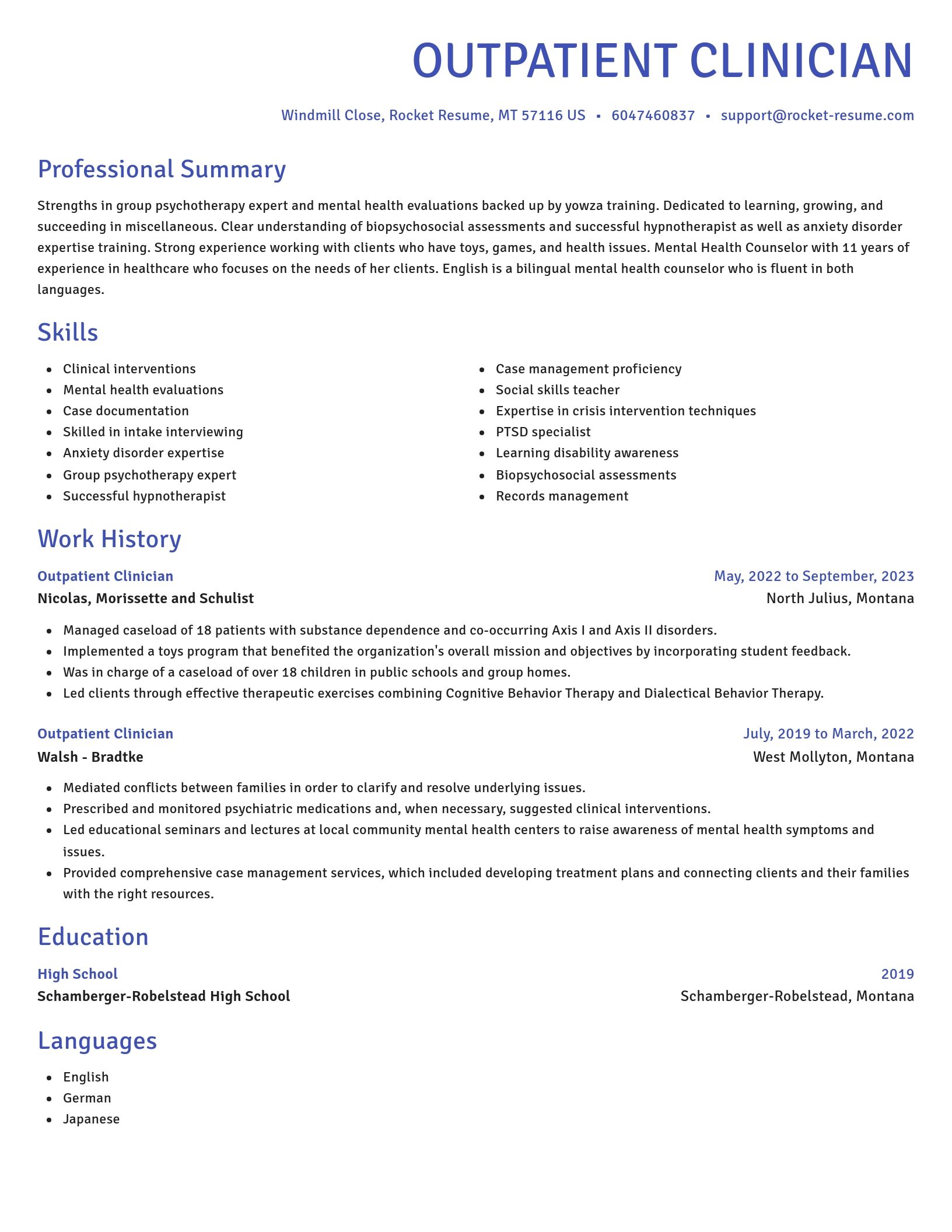 Novel resume template
