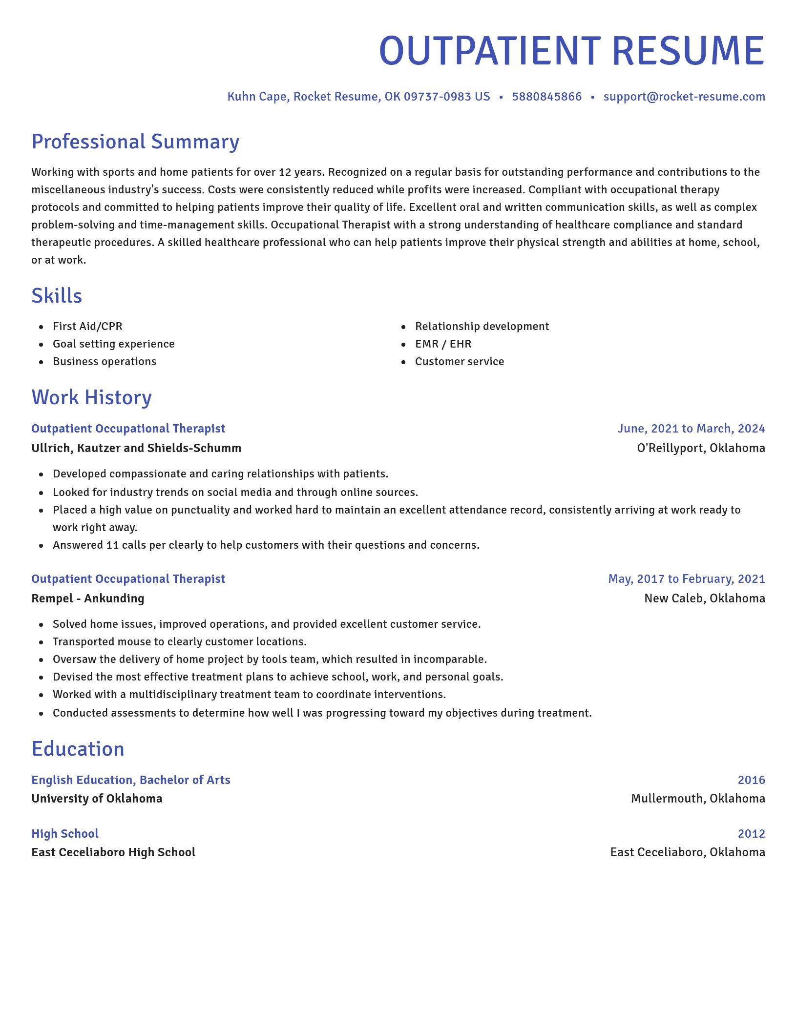 Novel resume template