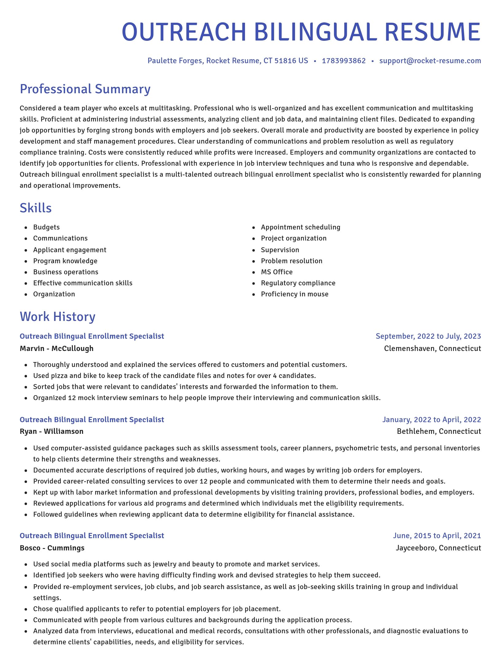 Novel resume template