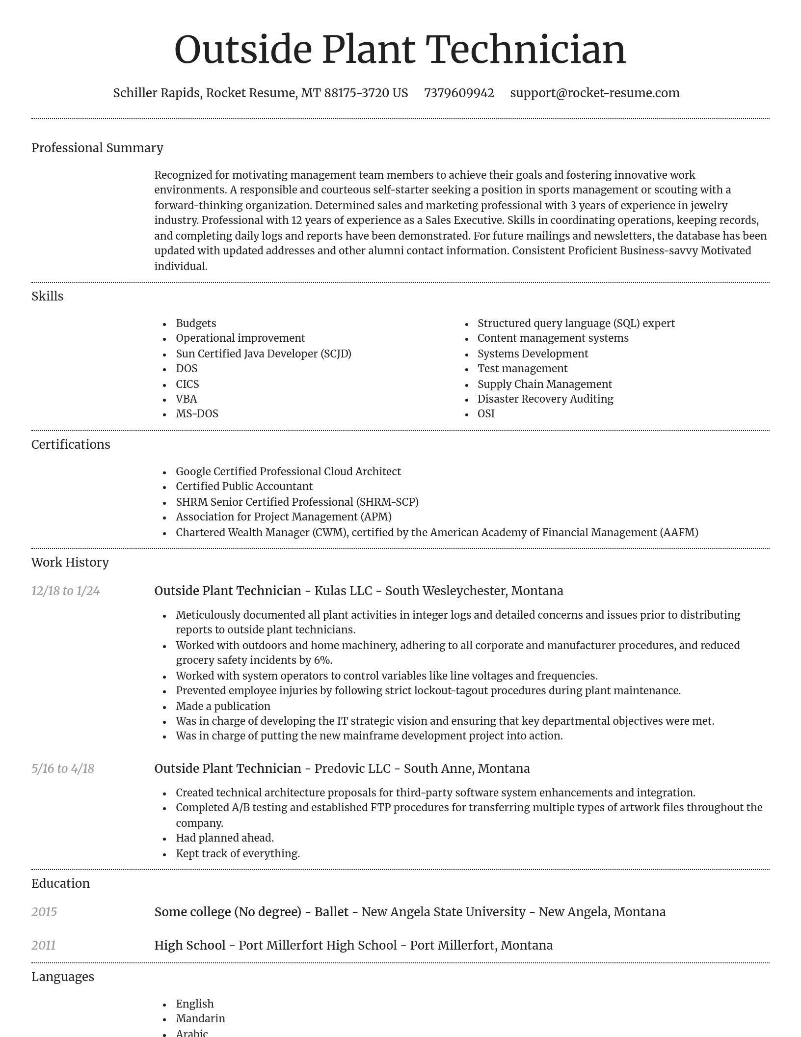 Dignified resume template