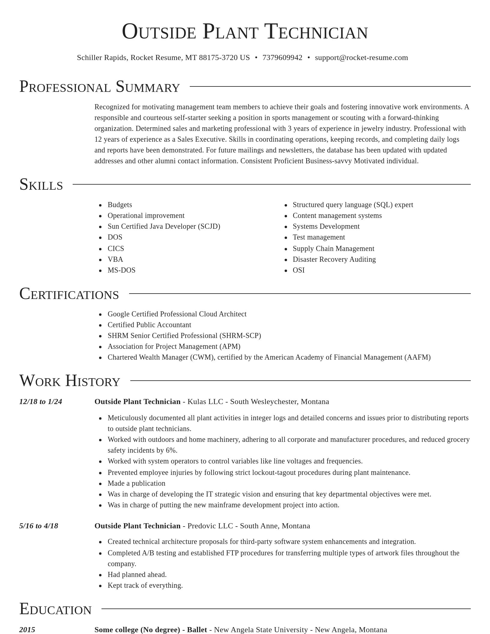 Director resume template