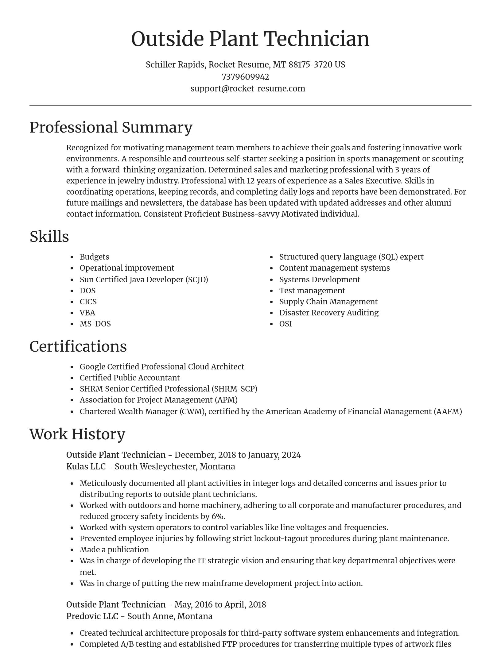 Focal Point resume template