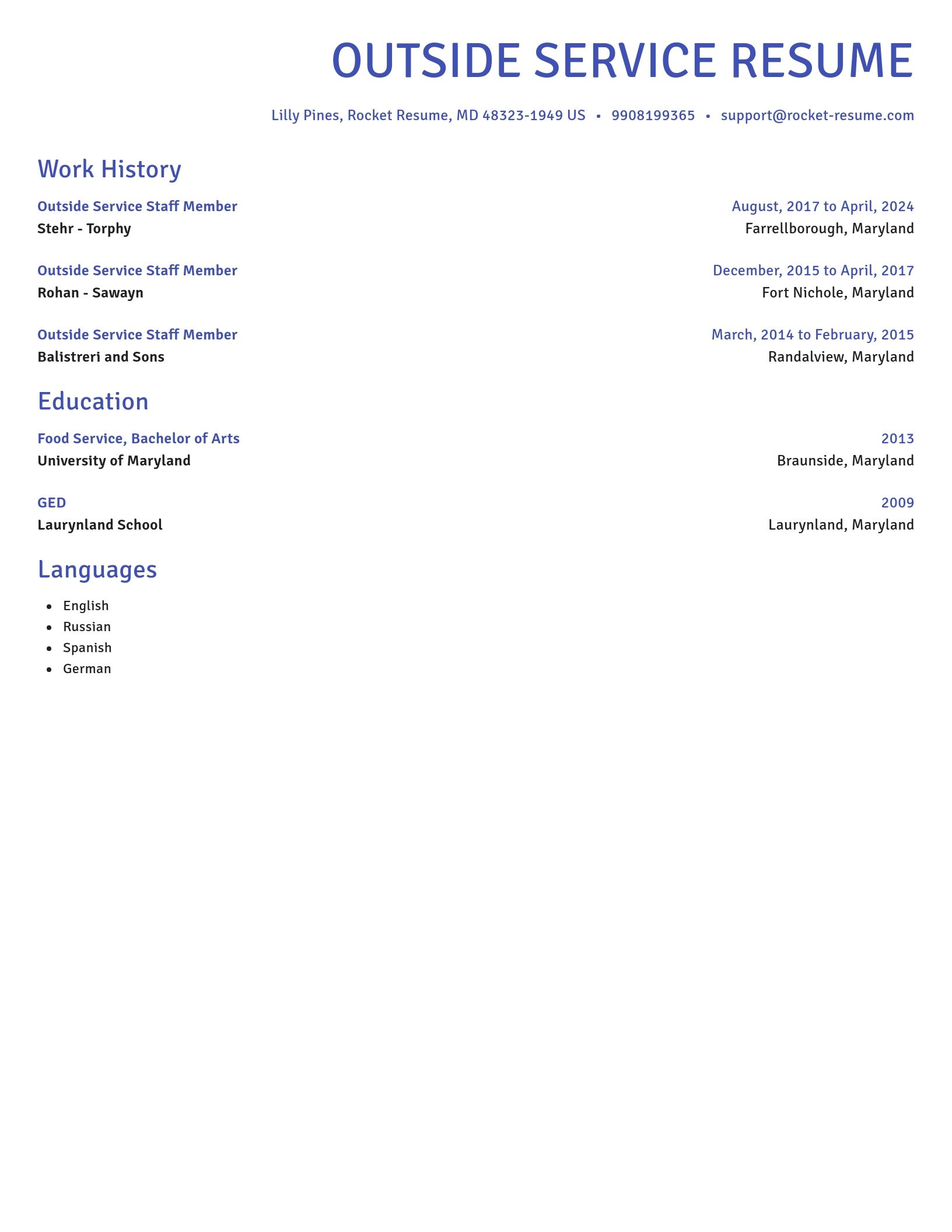 Novel resume template