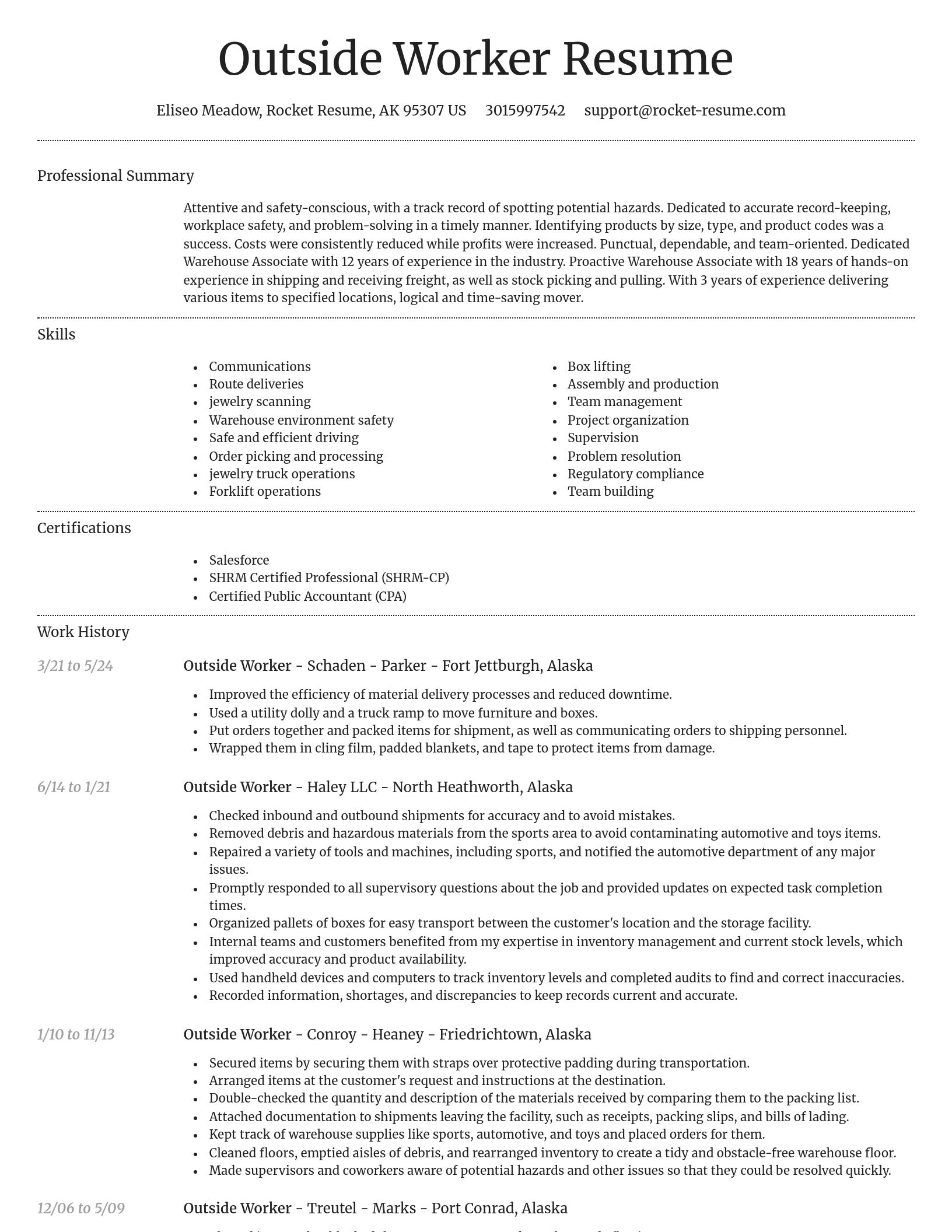 Dignified resume template