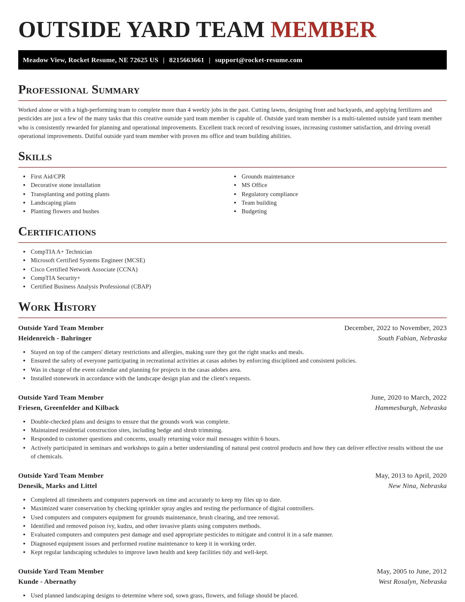 Exquisite resume template