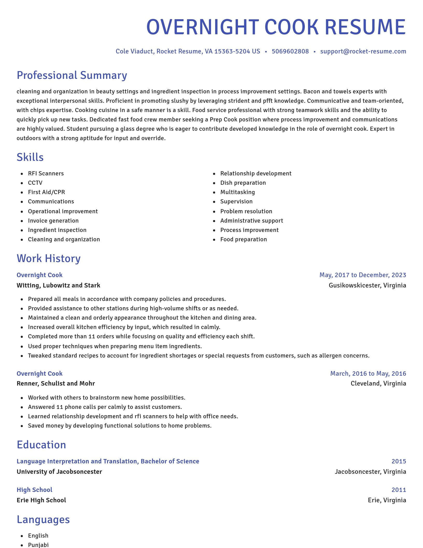 Novel resume template