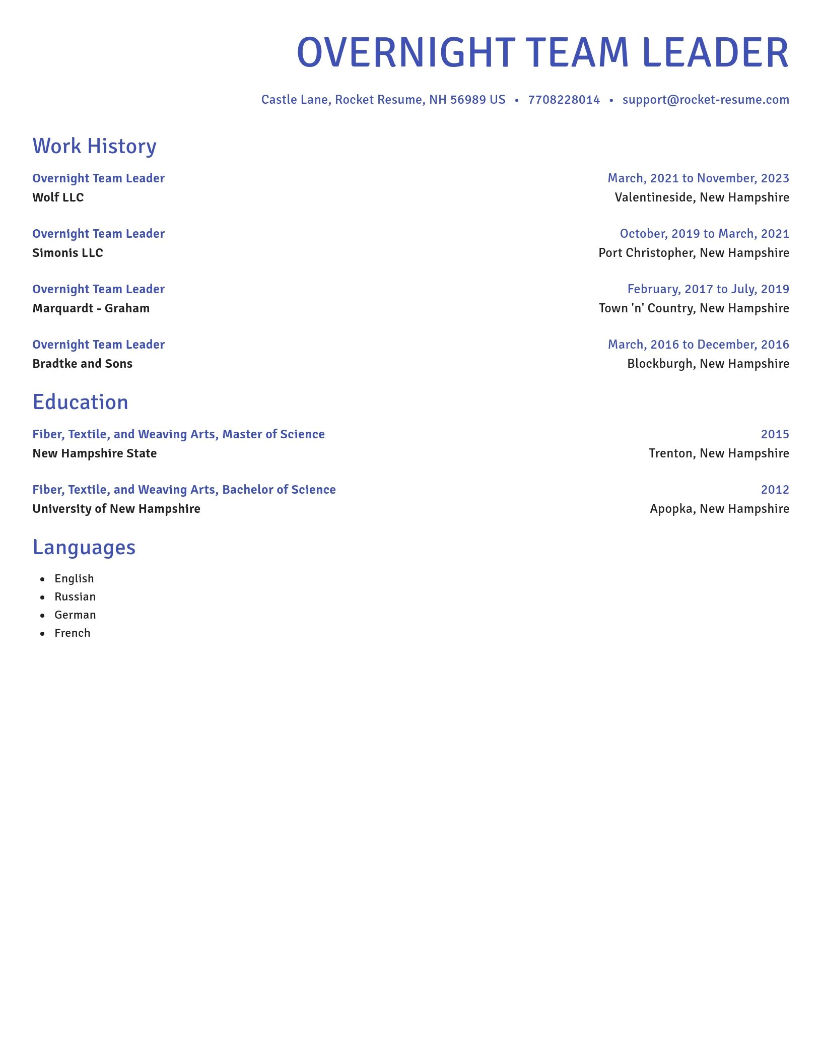 Novel resume template