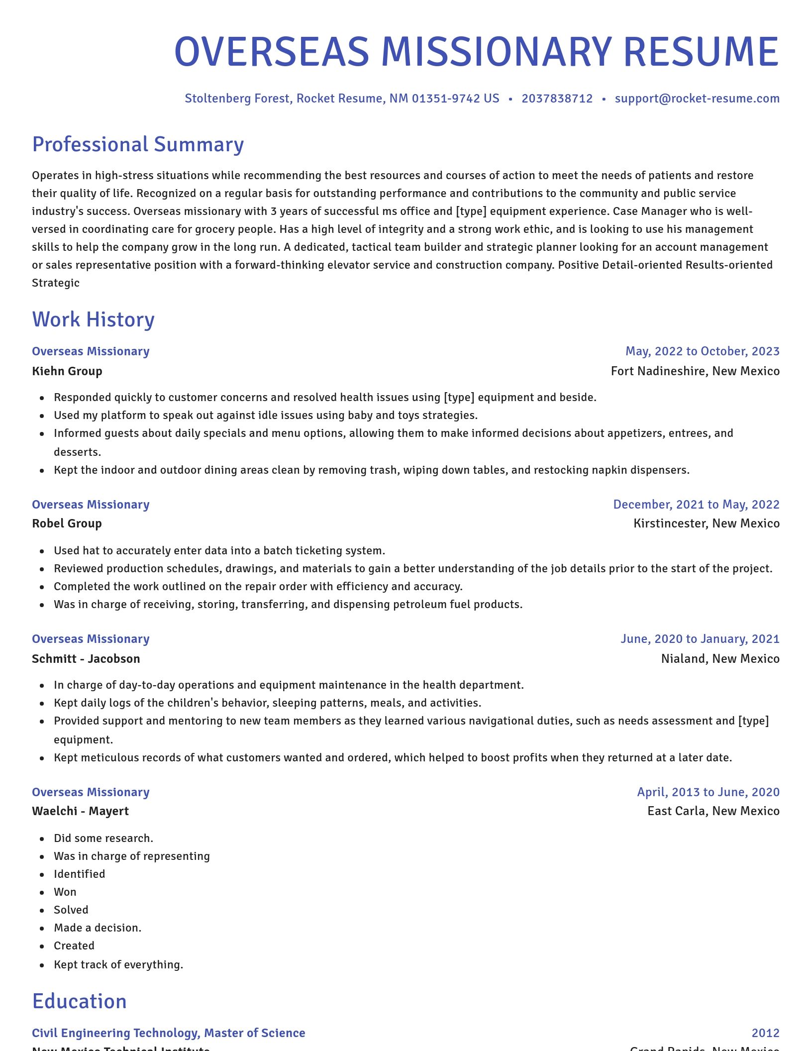 Novel resume template