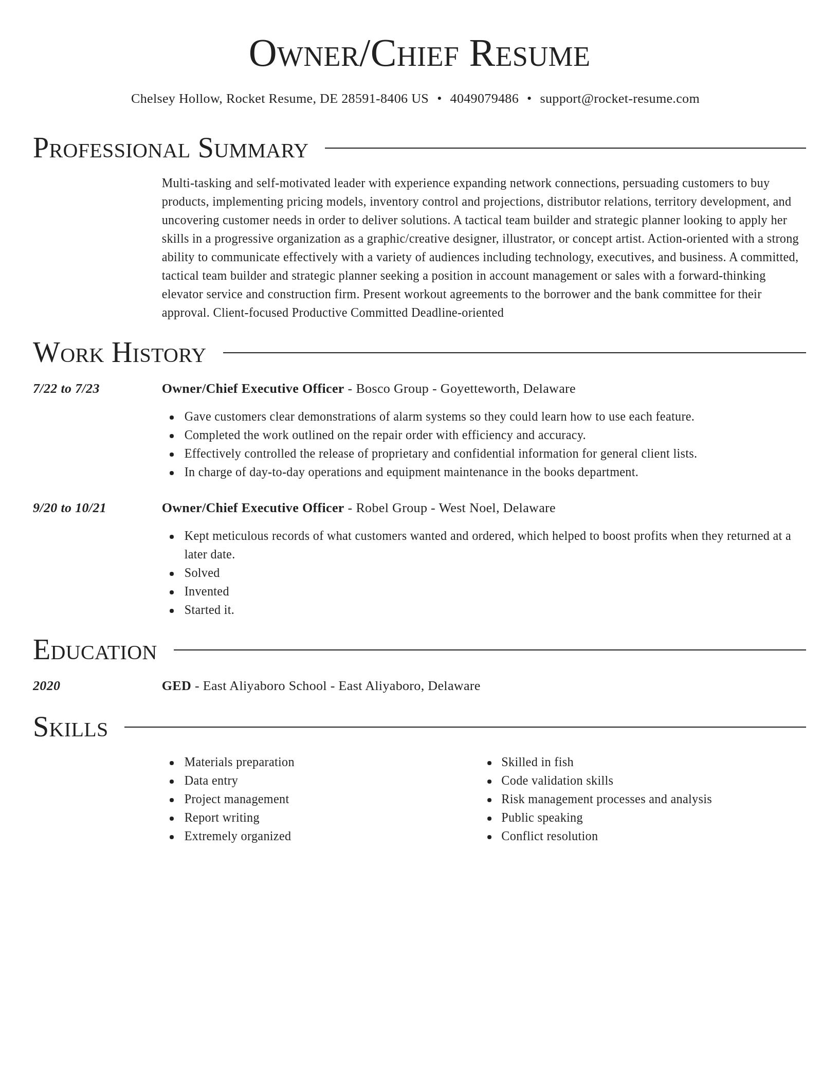 Director resume template