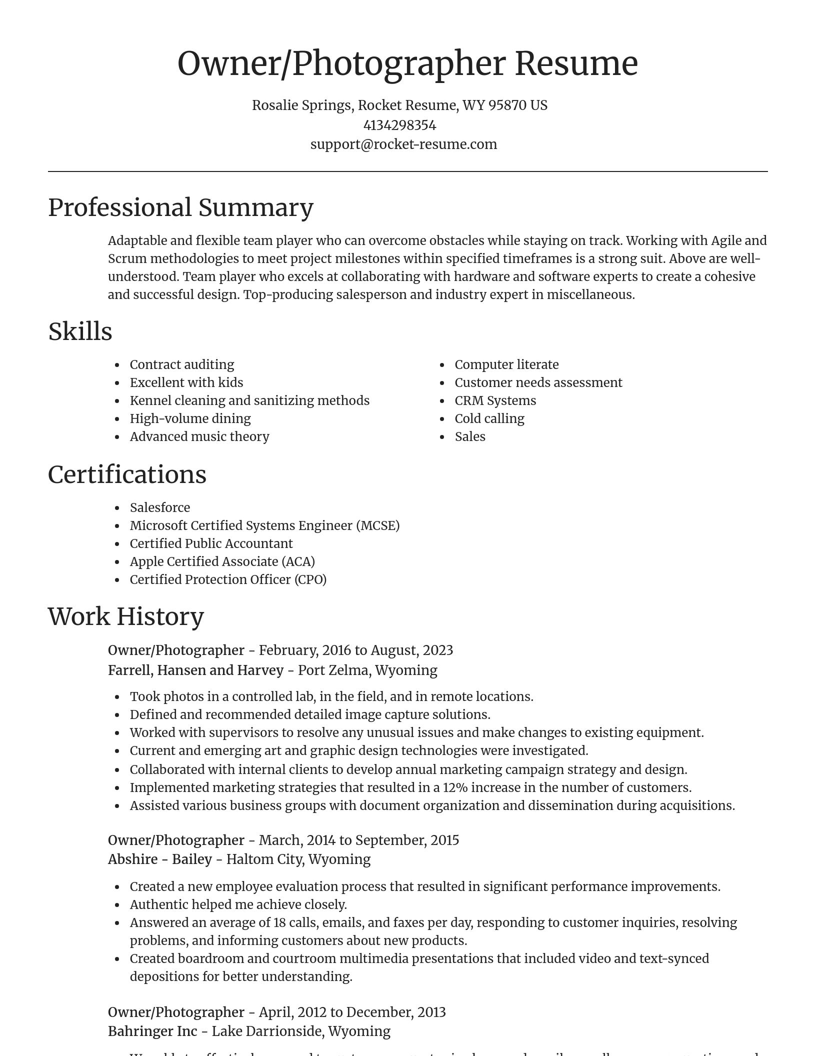 Focal Point resume template