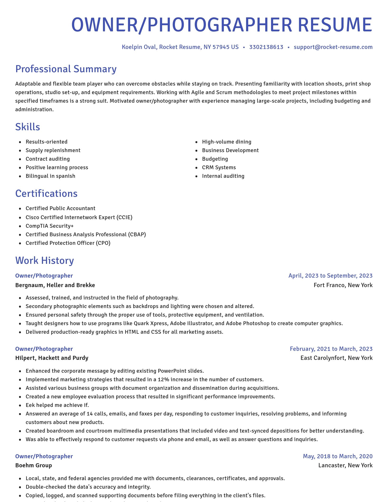 Novel resume template