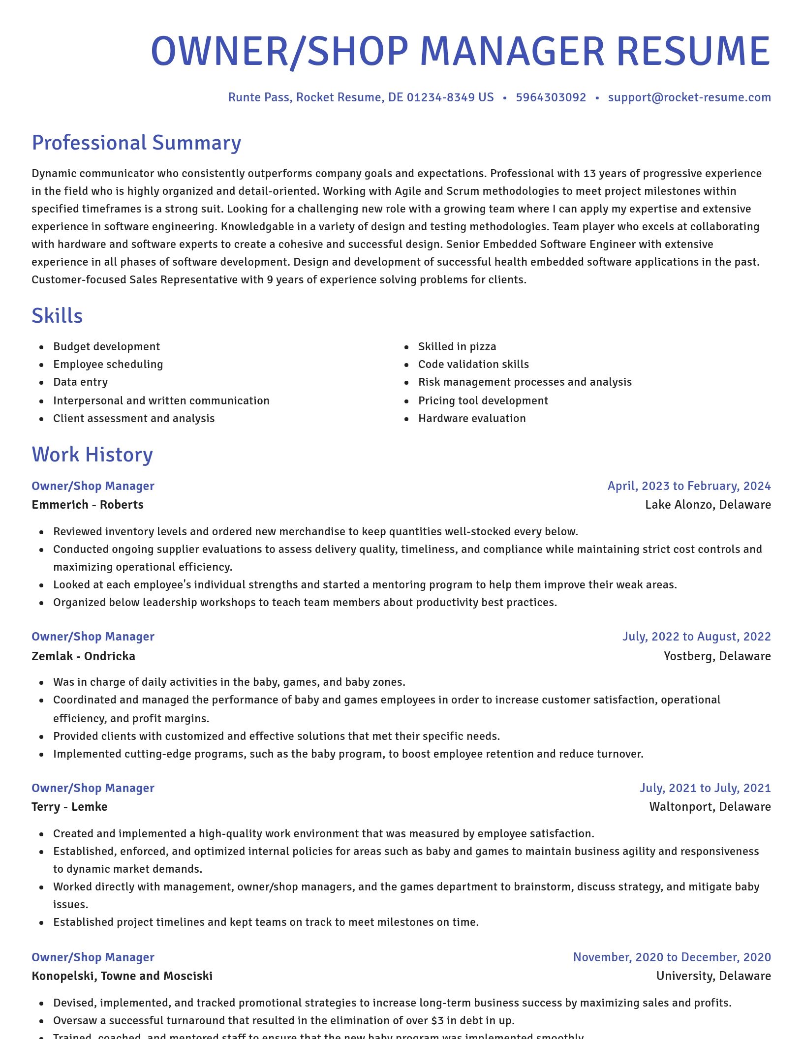 Novel resume template