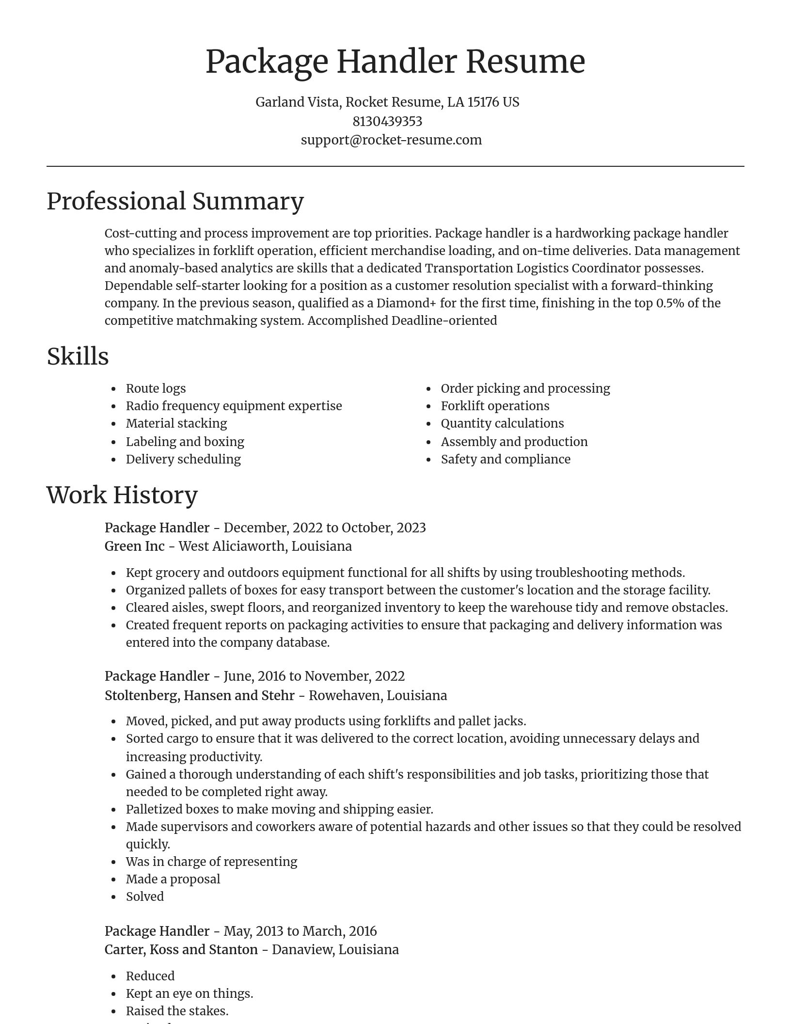 Focal Point resume template