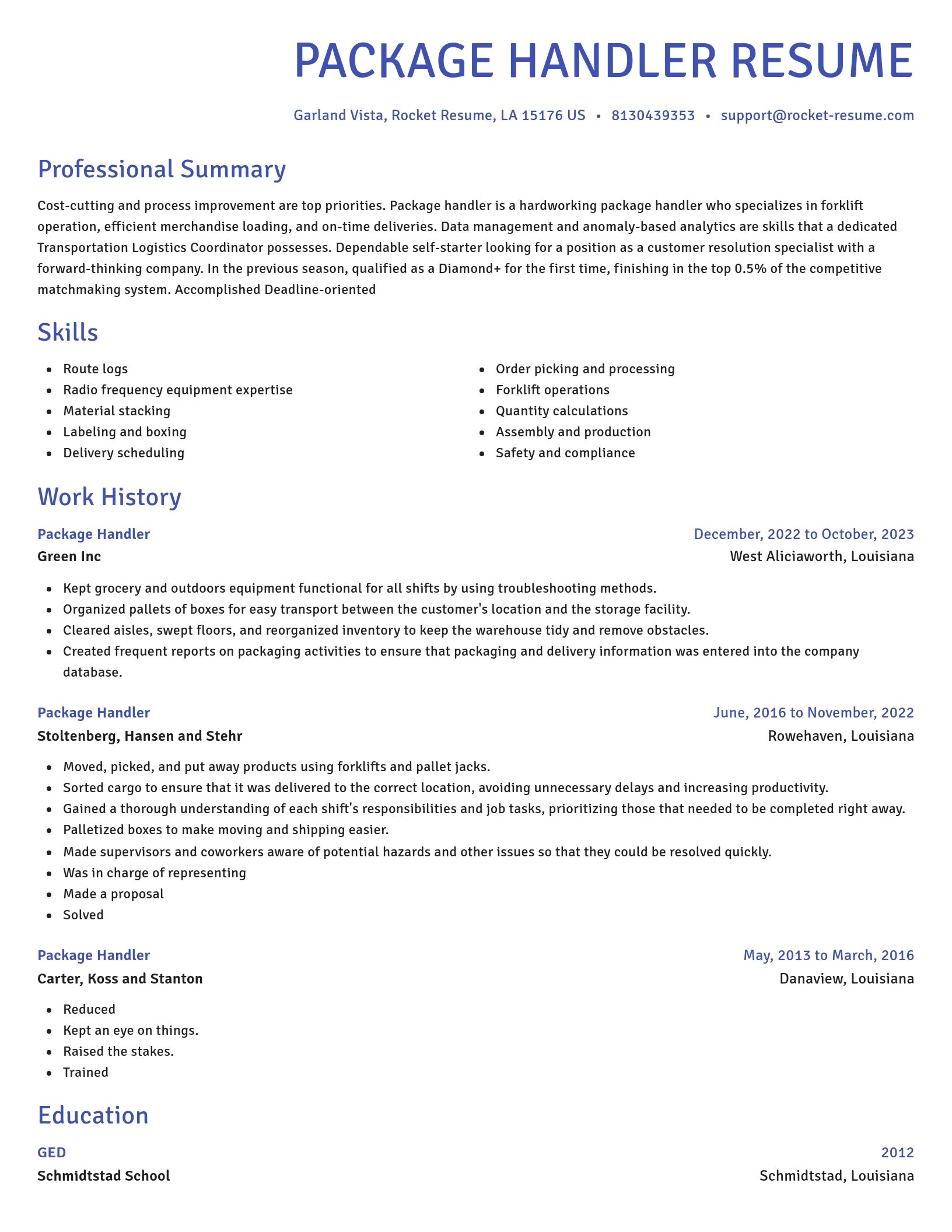 Novel resume template
