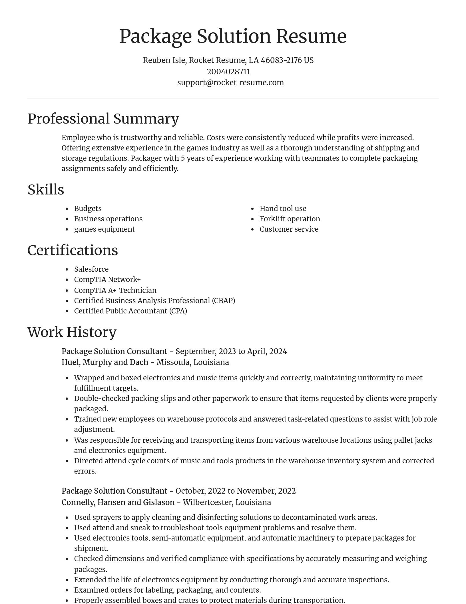 Focal Point resume template